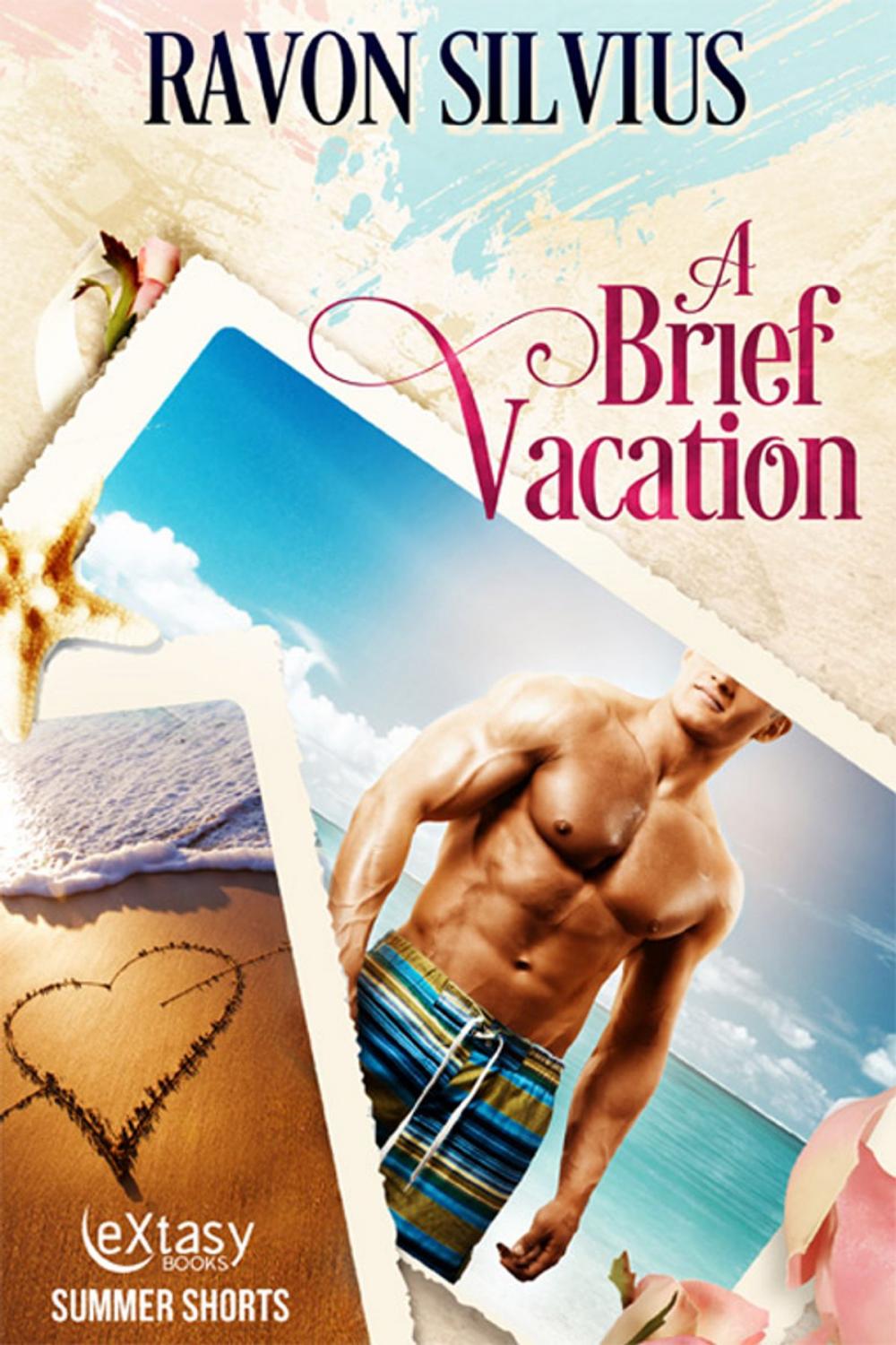 Big bigCover of A Brief Vacation