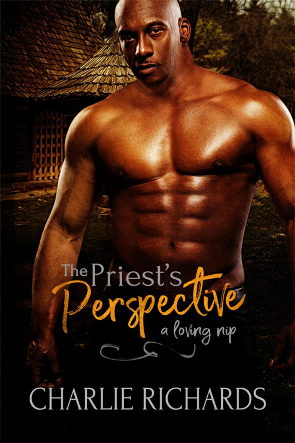 Big bigCover of The Priest's Perspective