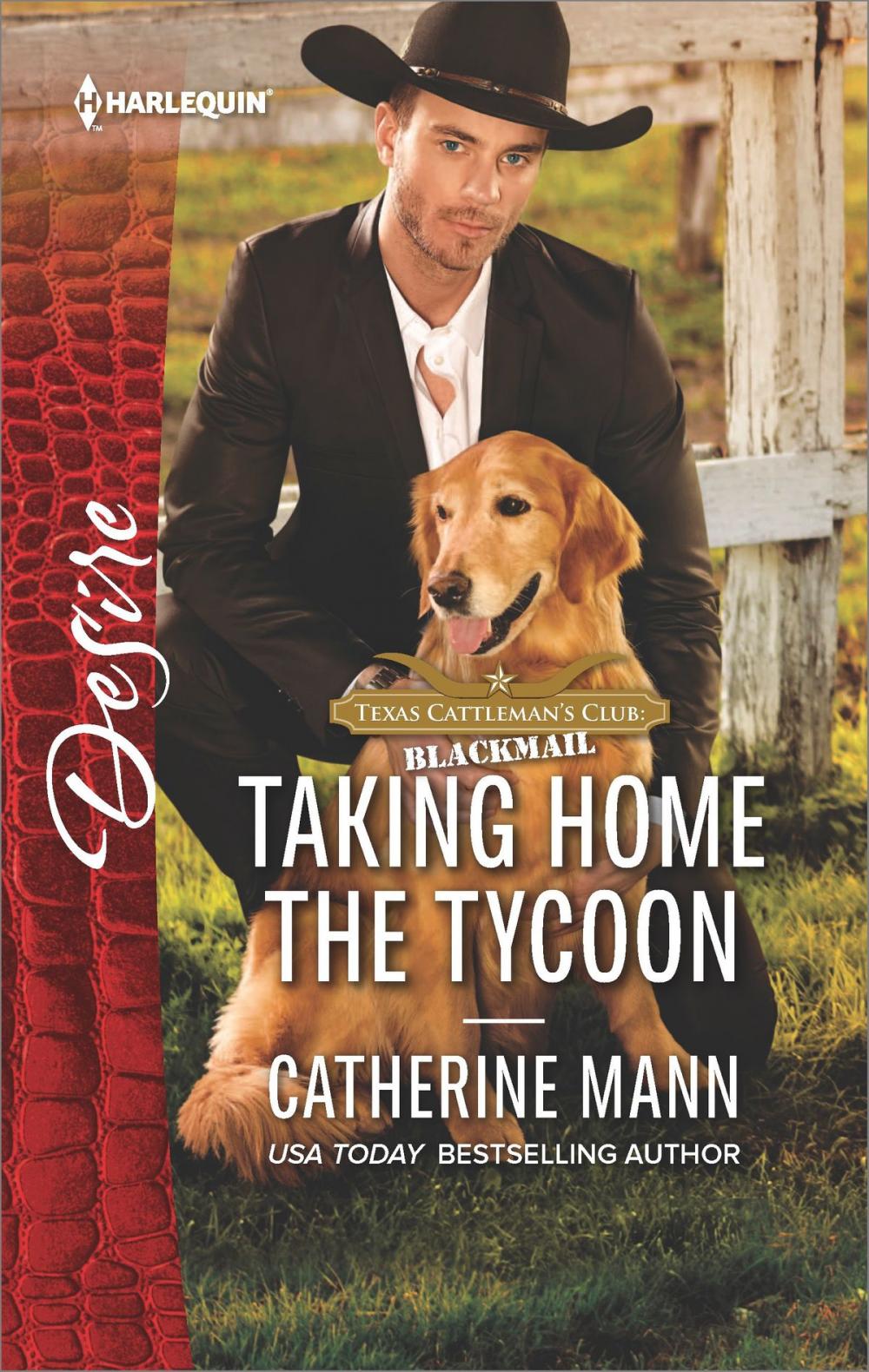 Big bigCover of Taking Home the Tycoon