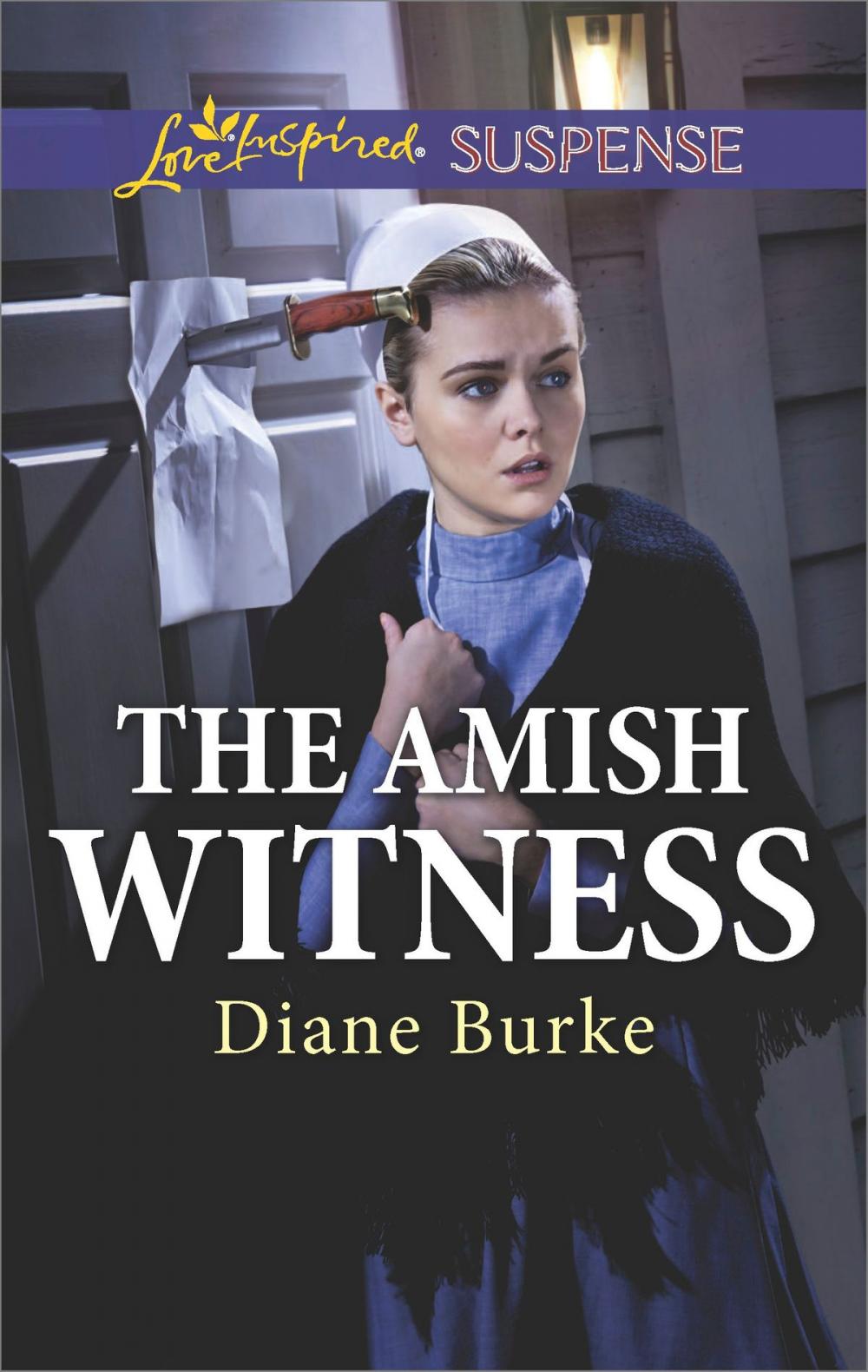 Big bigCover of The Amish Witness