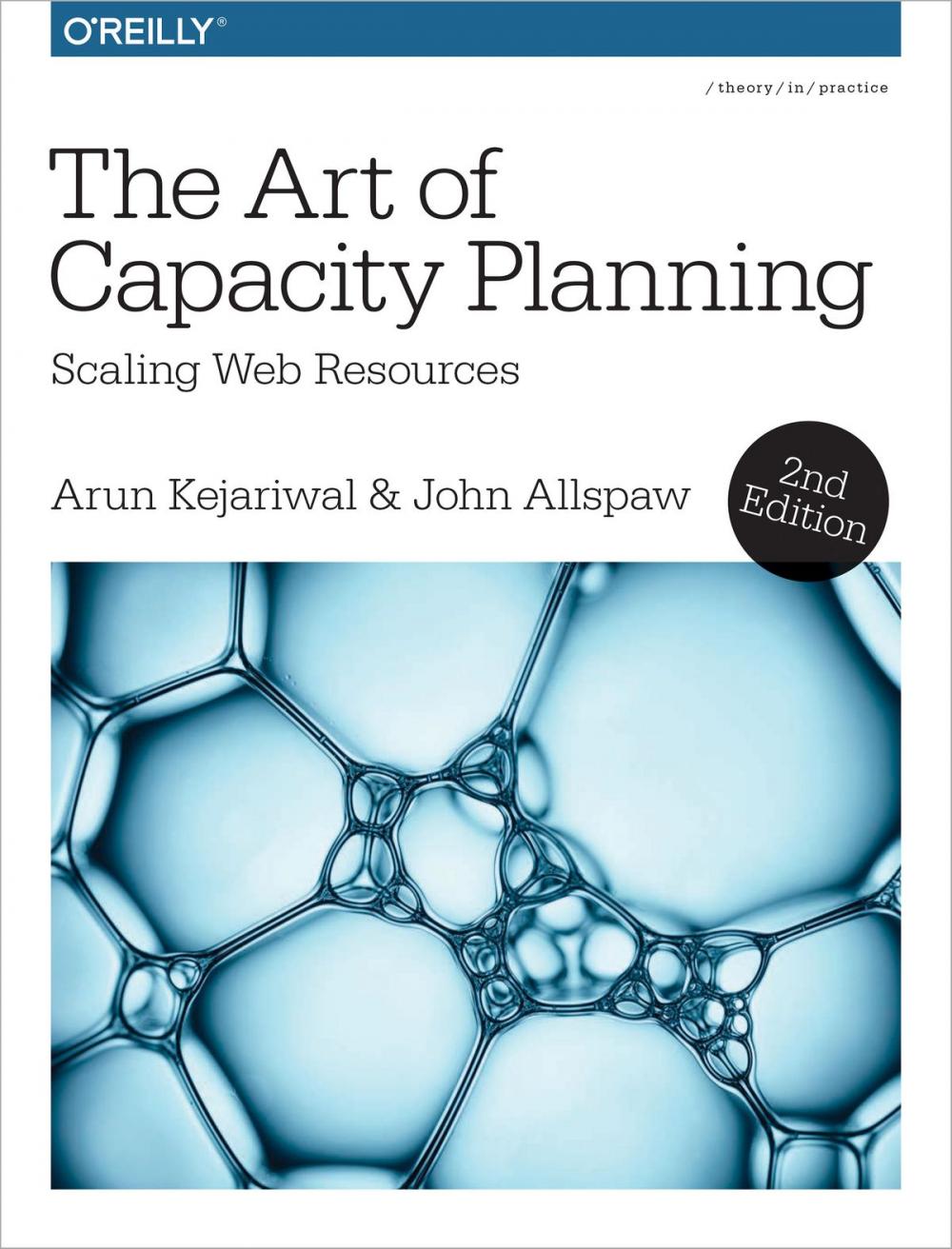 Big bigCover of The Art of Capacity Planning