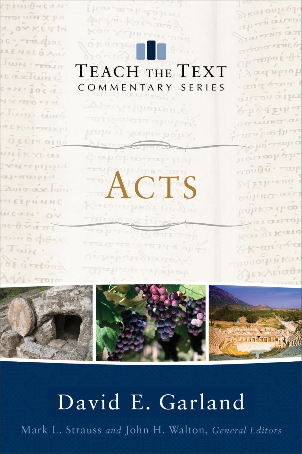 Big bigCover of Acts (Teach the Text Commentary Series)