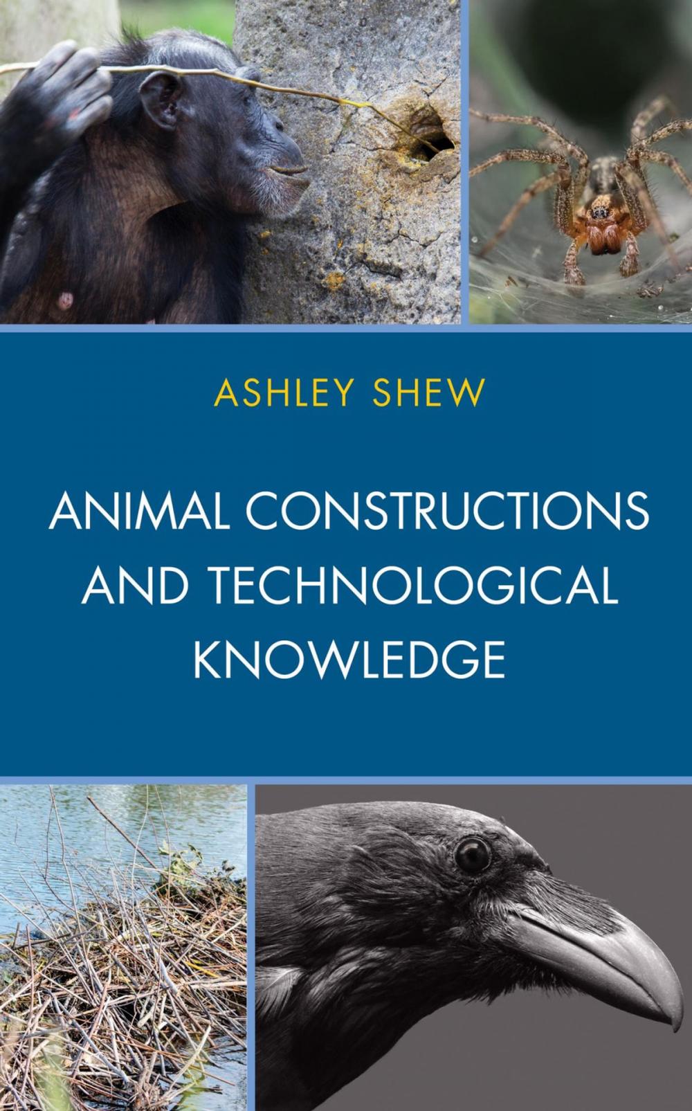 Big bigCover of Animal Constructions and Technological Knowledge