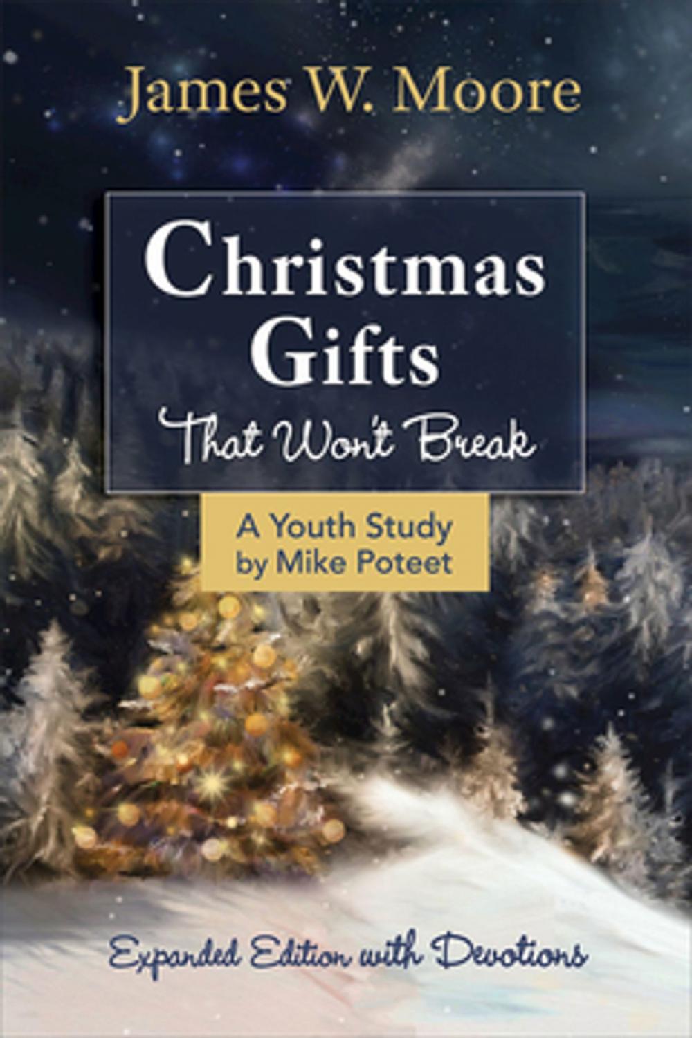 Big bigCover of Christmas Gifts That Won't Break Youth Study