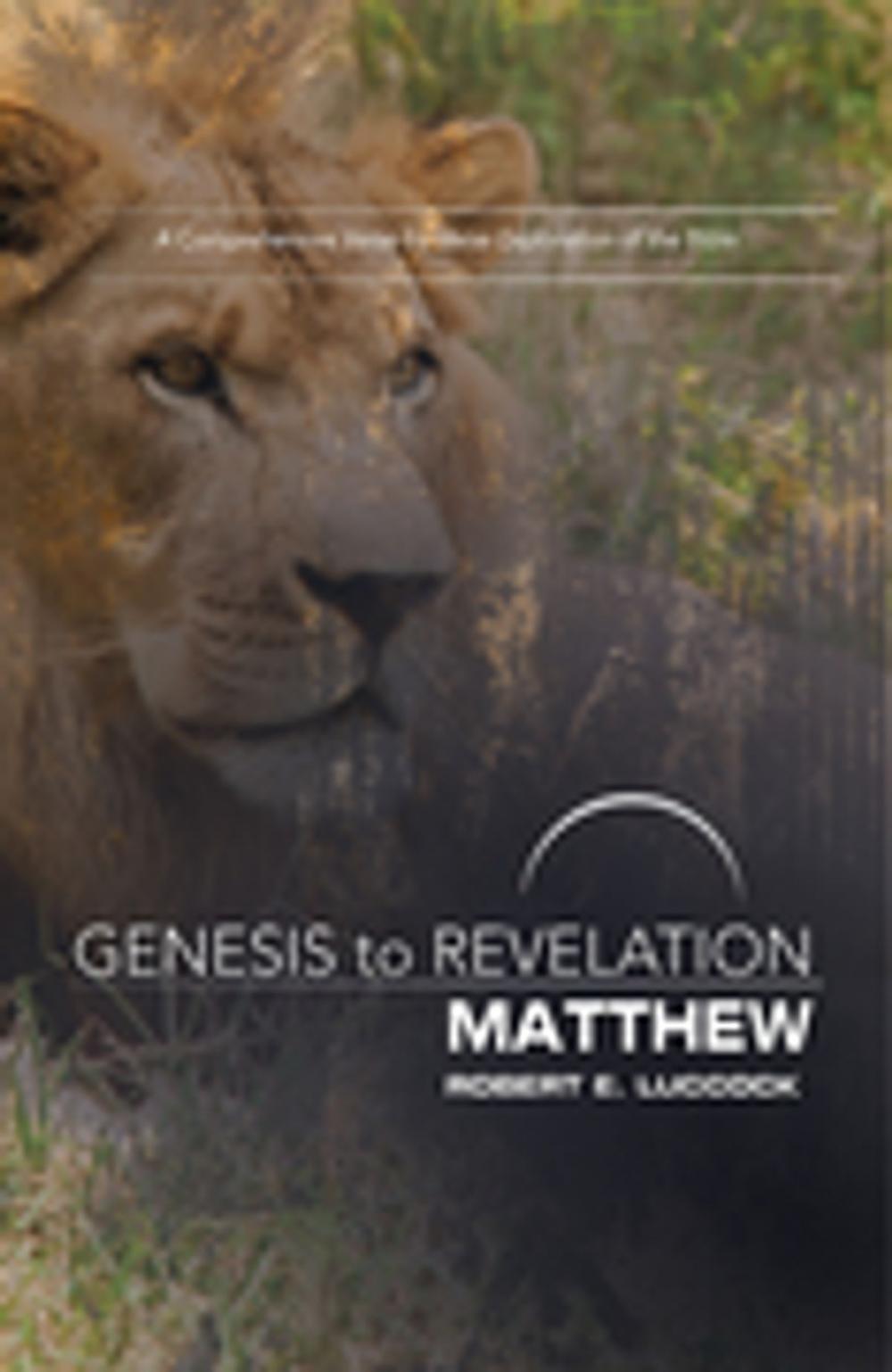 Big bigCover of Genesis to Revelation: Matthew Participant Book [Large Print]