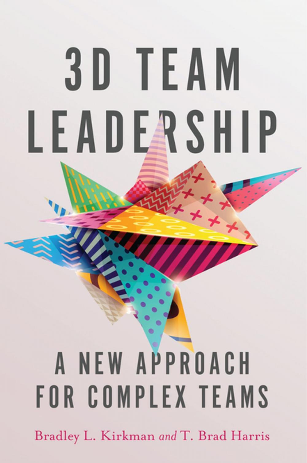 Big bigCover of 3D Team Leadership