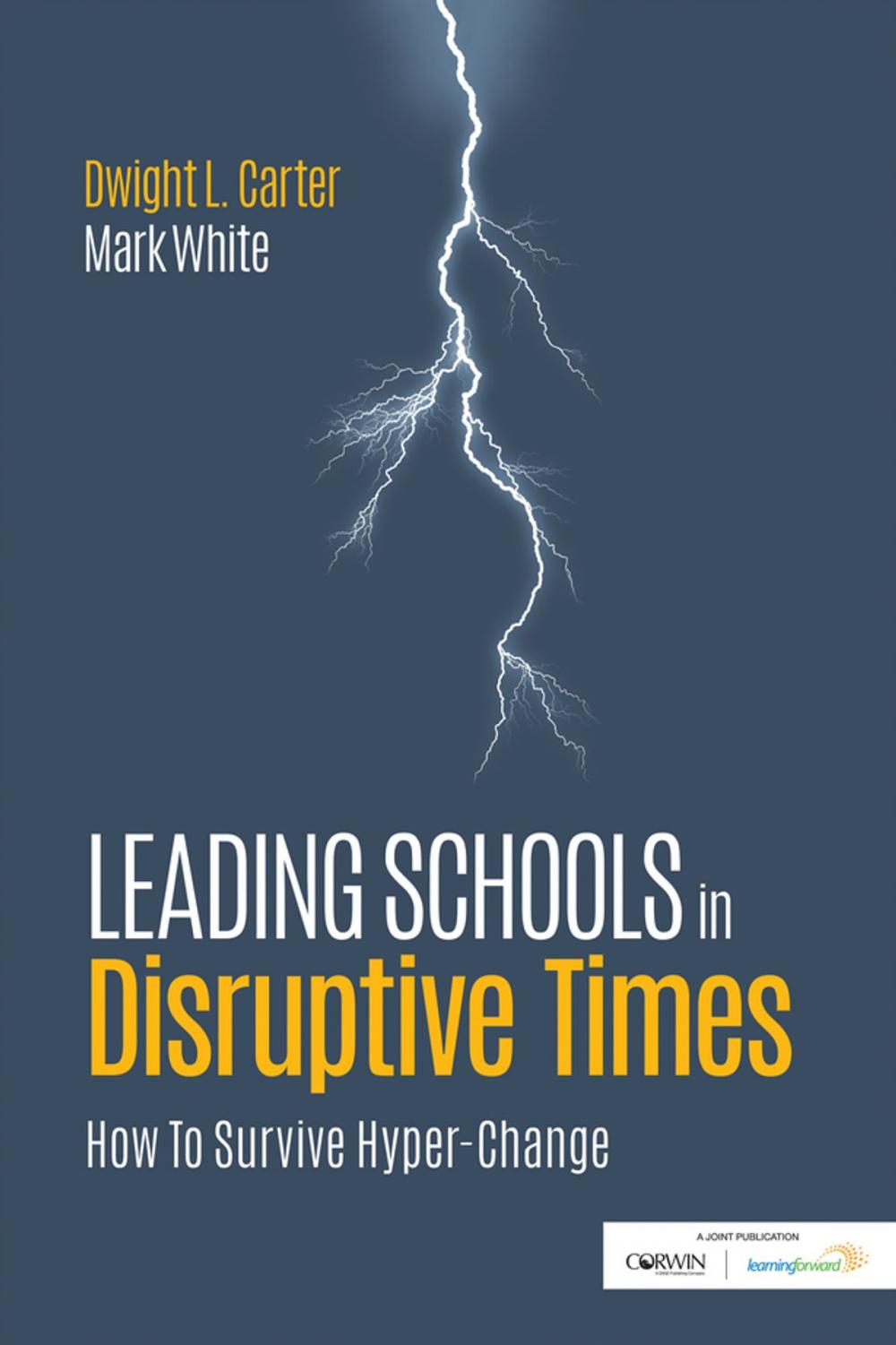 Big bigCover of Leading Schools in Disruptive Times