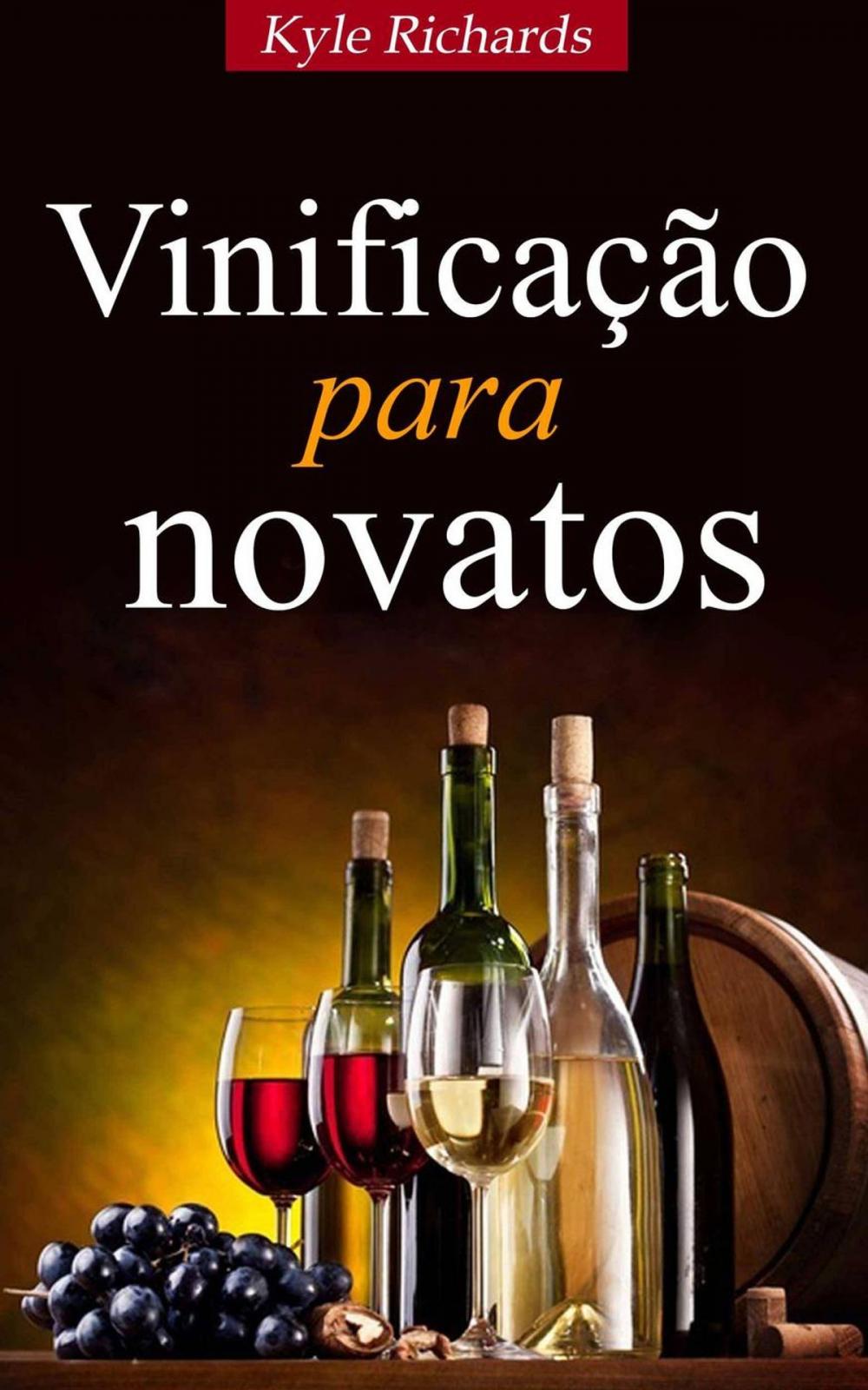 Big bigCover of Vinificação para novatos