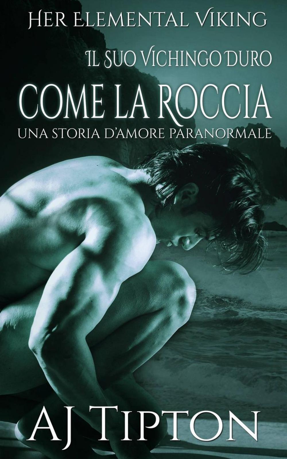 Big bigCover of Il Suo Vichingo Duro come la Roccia: Una Storia d’Amore Paranormale