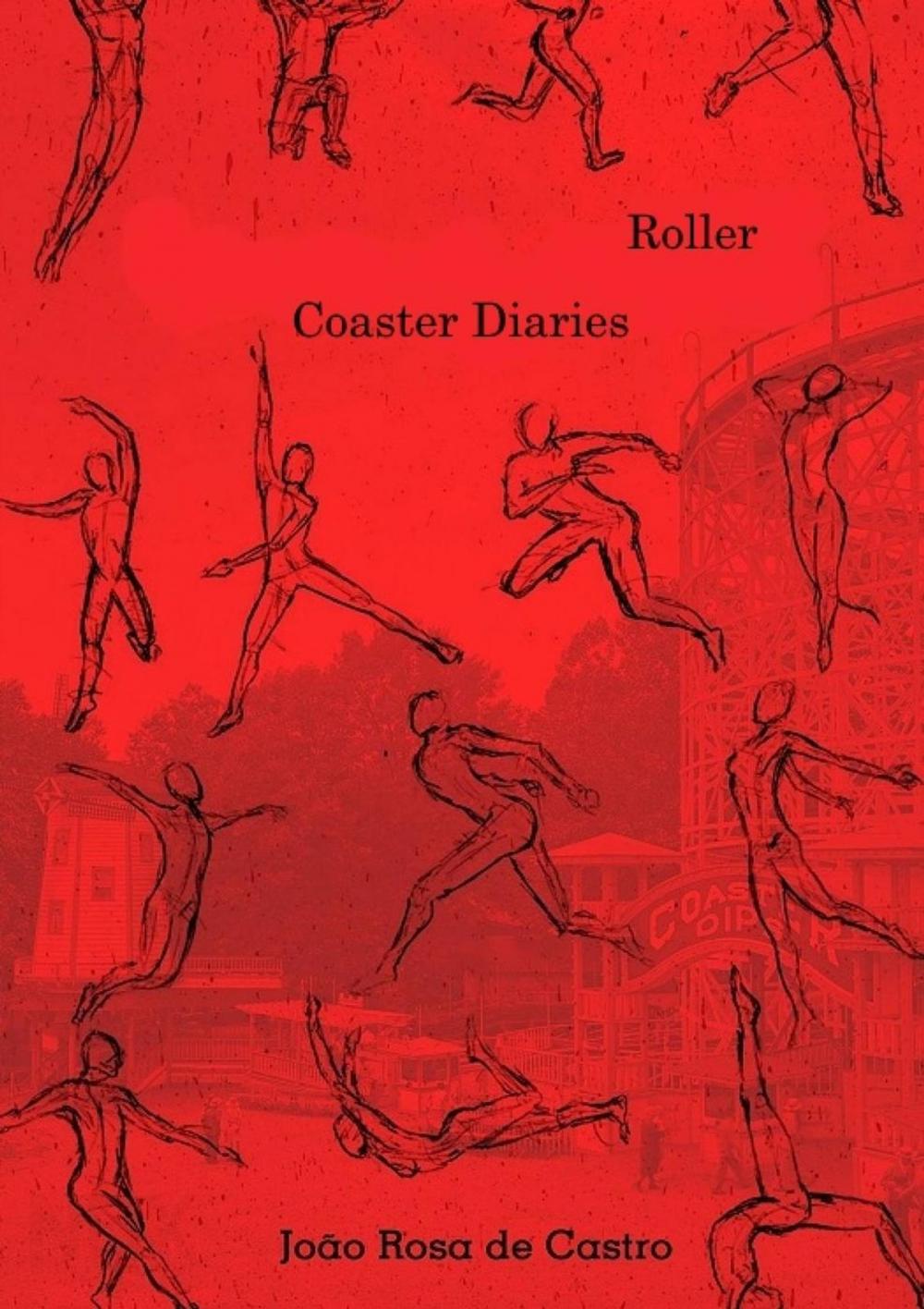 Big bigCover of Roller Coaster Diaries