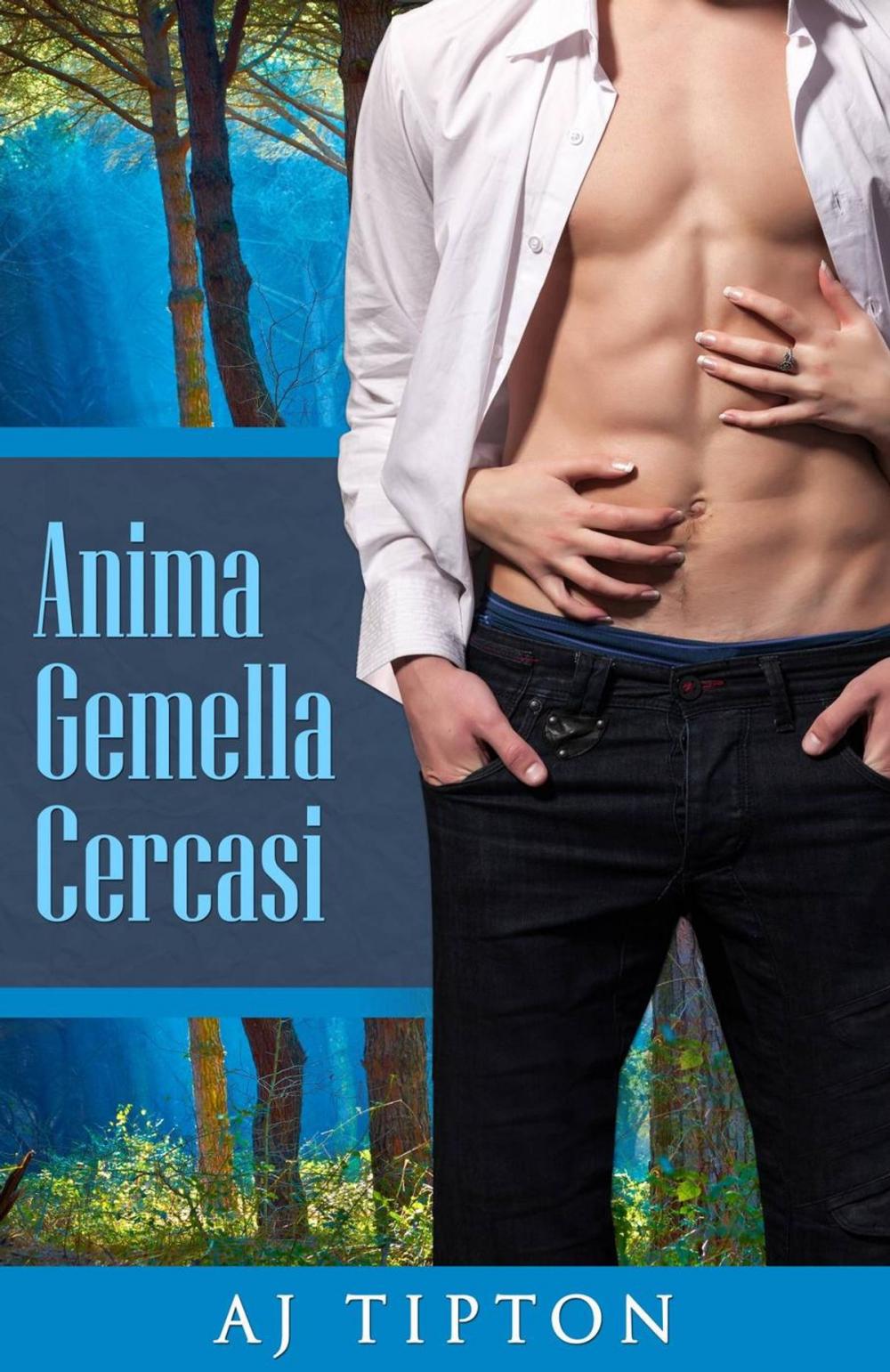 Big bigCover of Anima Gemella Cercasi