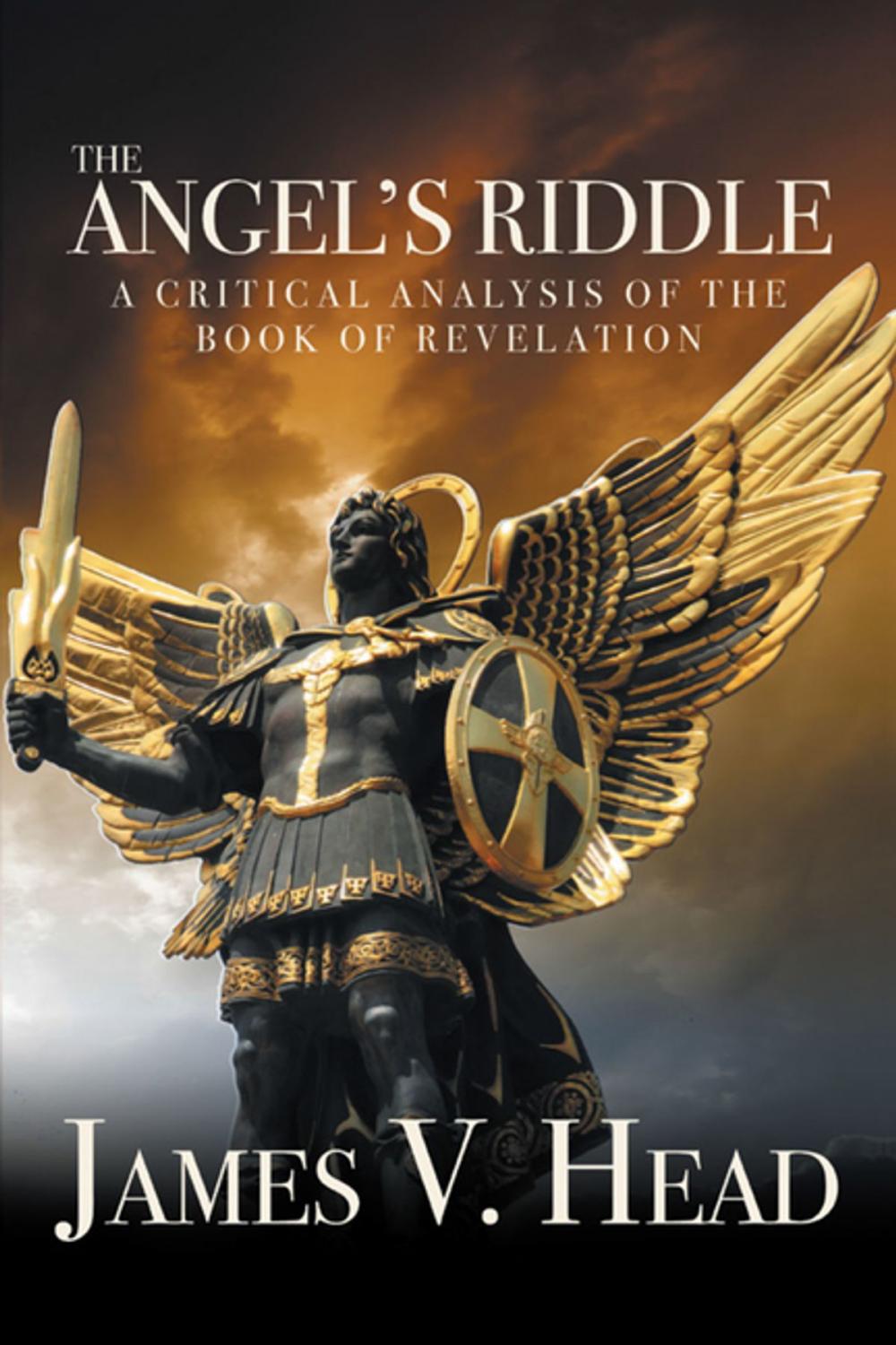 Big bigCover of The Angel’S Riddle