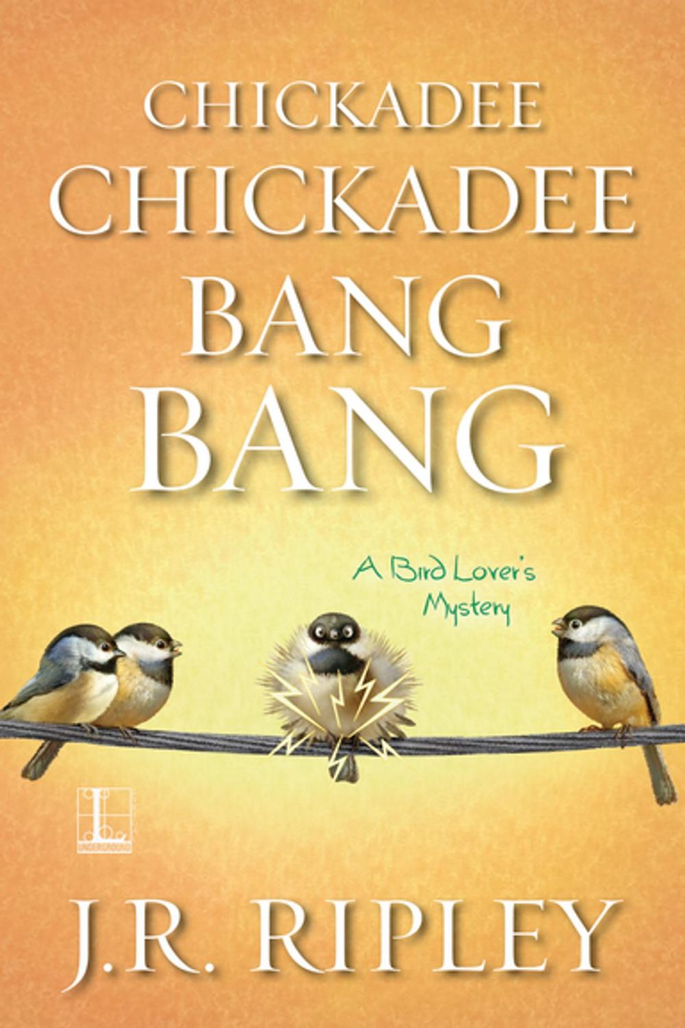 Big bigCover of Chickadee Chickadee Bang Bang