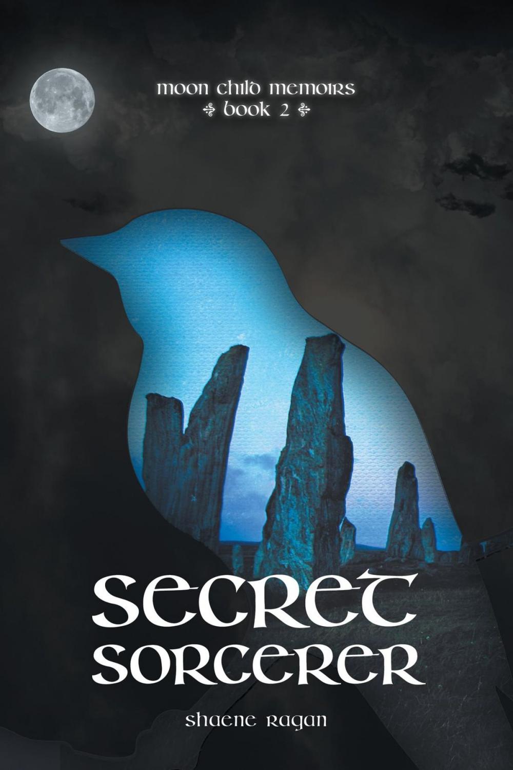 Big bigCover of Secret Sorcerer