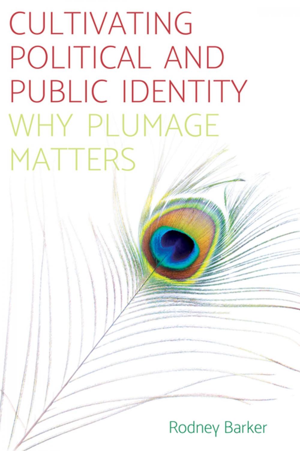 Big bigCover of Cultivating political and public identity