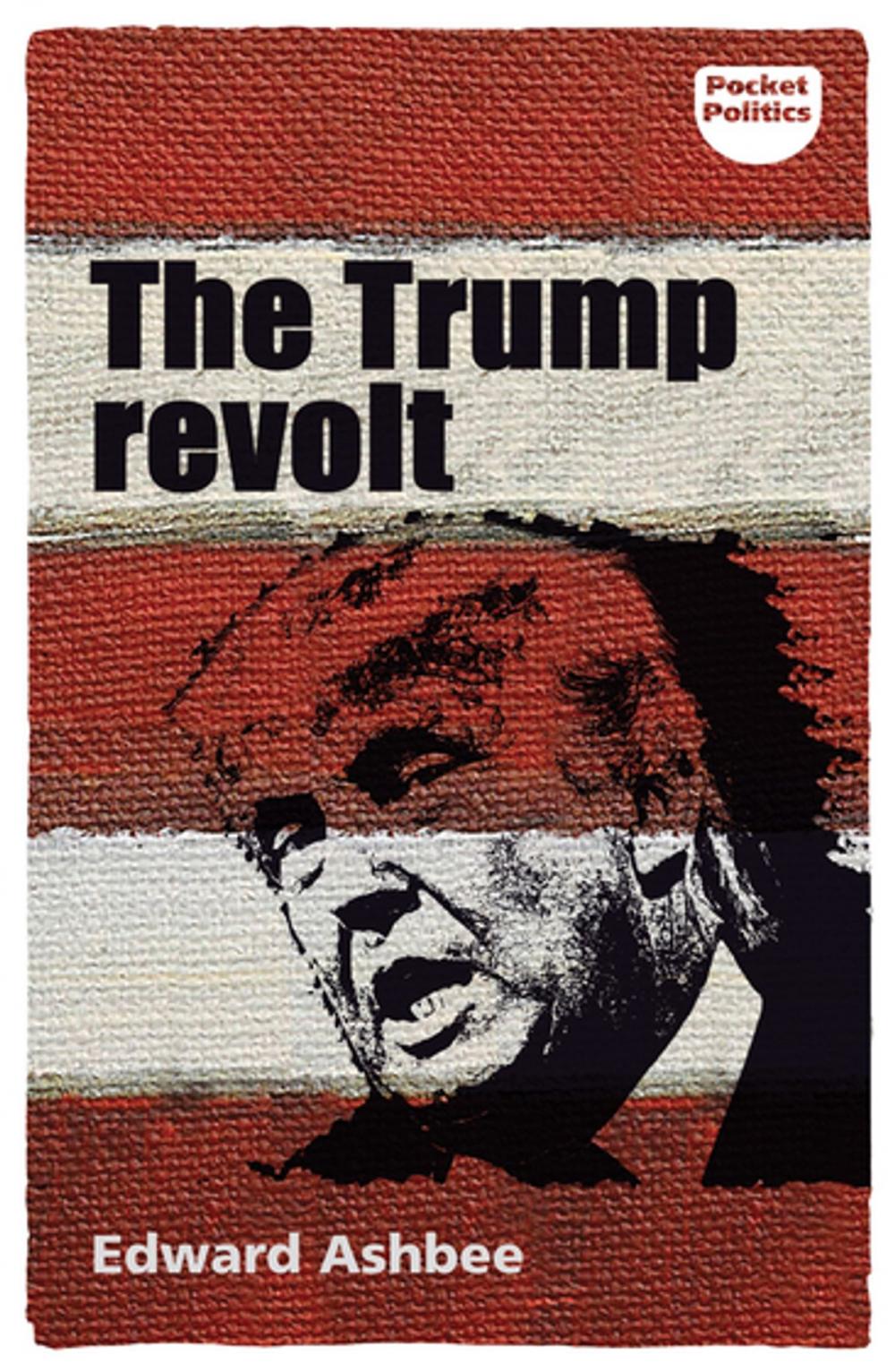 Big bigCover of The Trump revolt