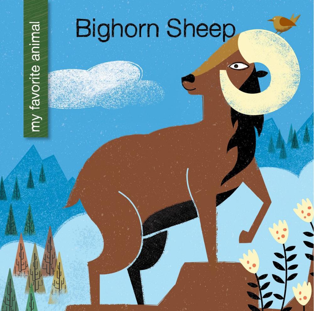 Big bigCover of Bighorn Sheep