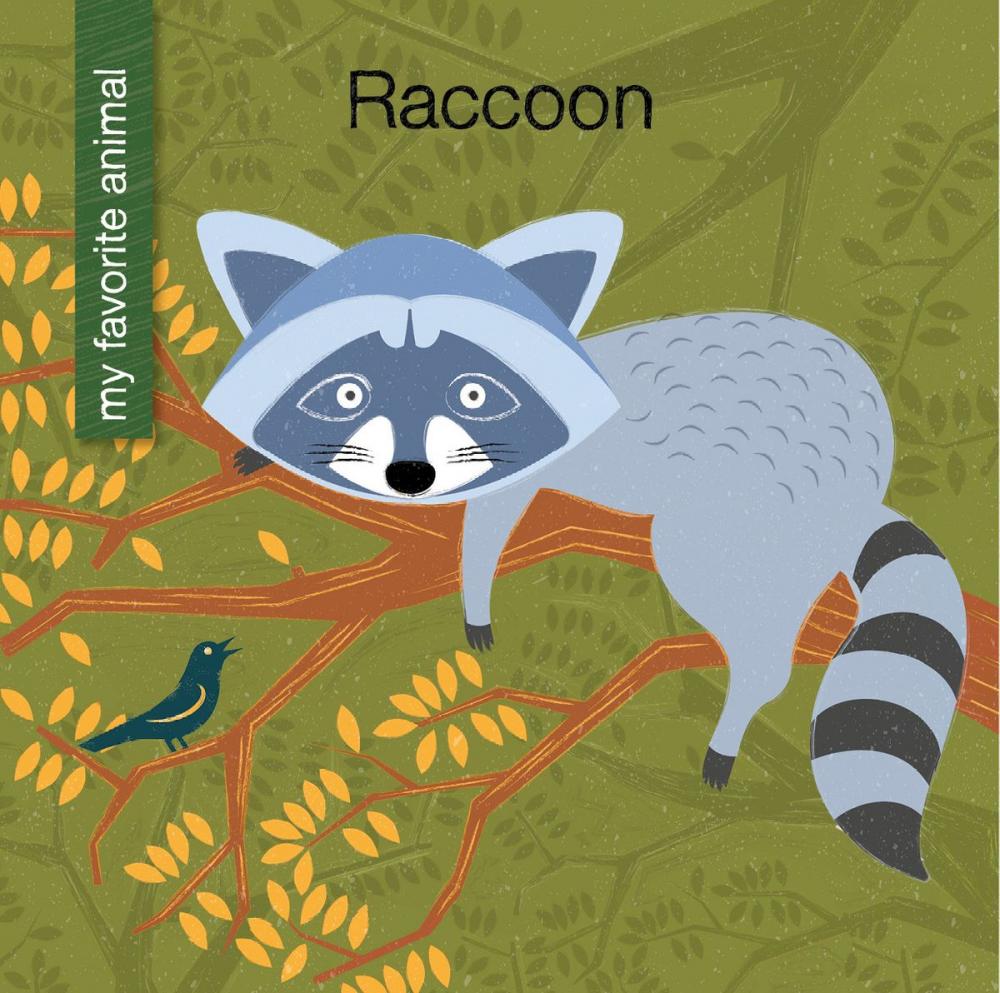 Big bigCover of Raccoon