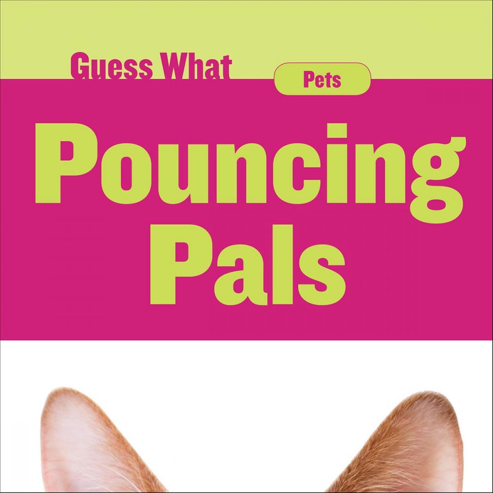 Big bigCover of Pouncing Pals