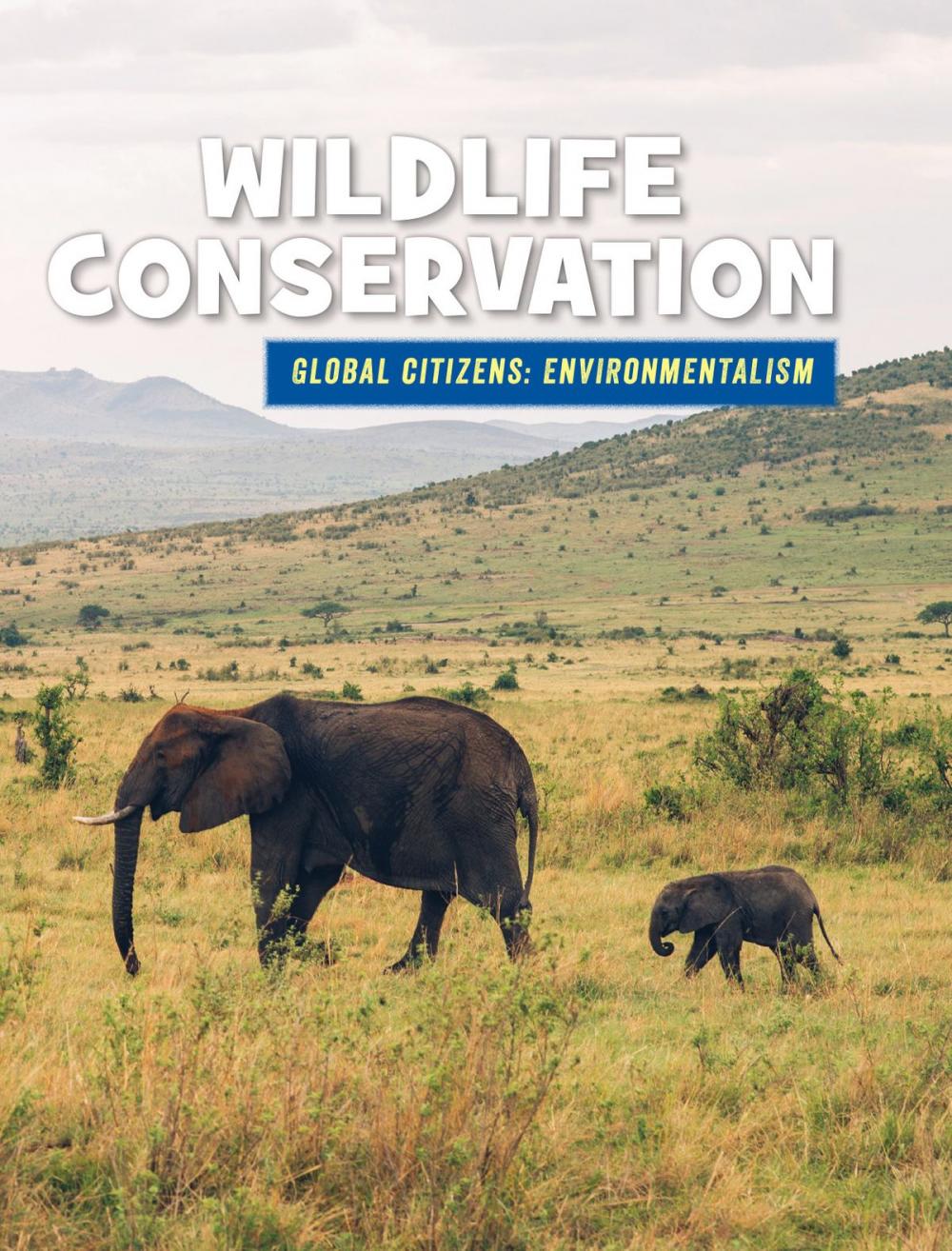 Big bigCover of Wildlife Conservation