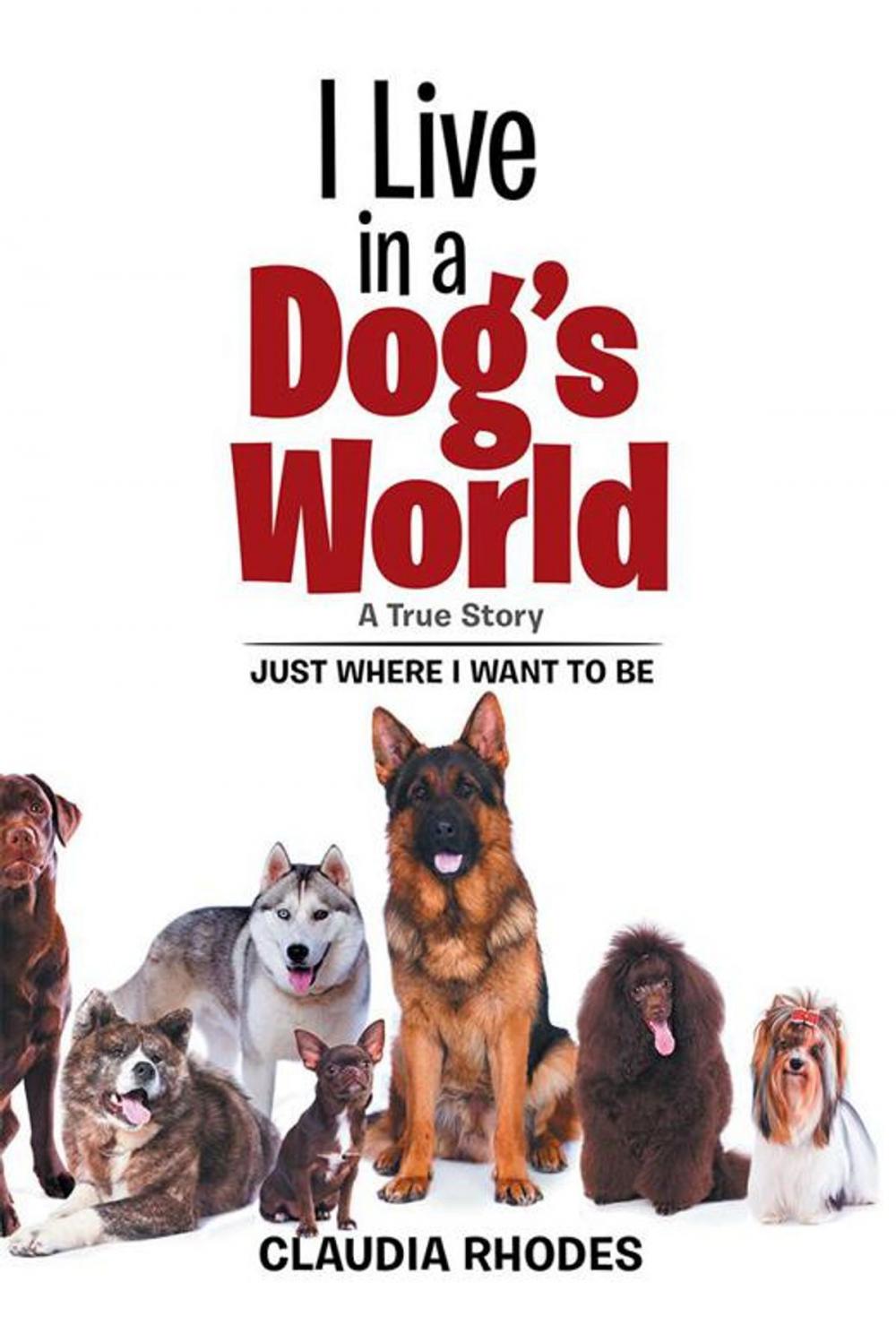 Big bigCover of I Live in a Dog’S World