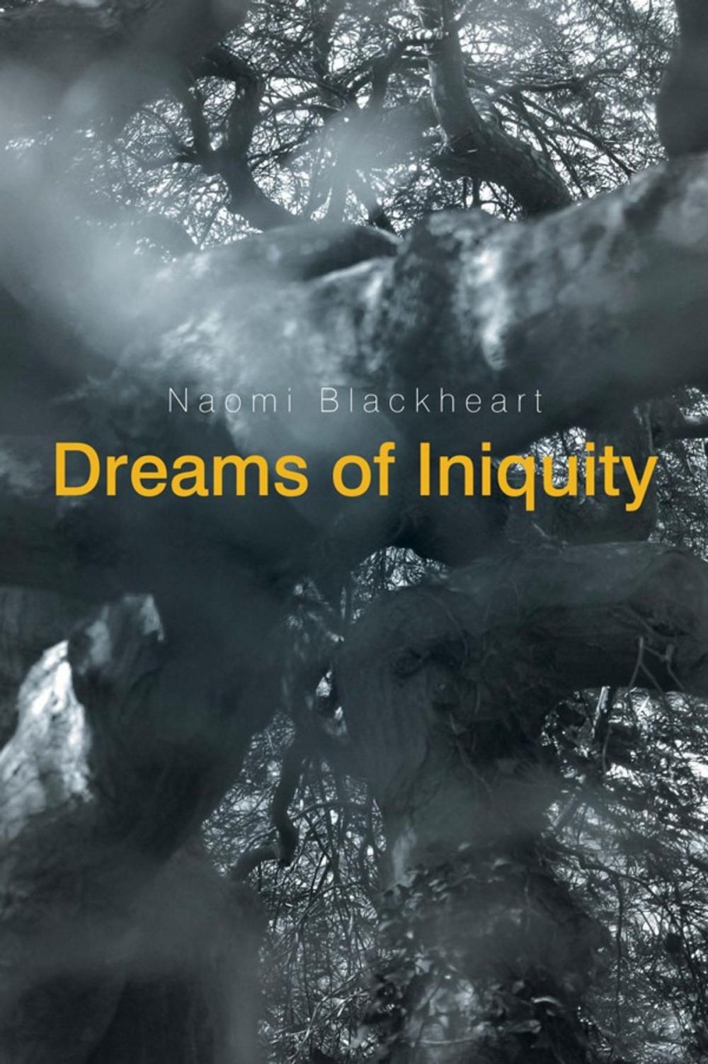 Big bigCover of Dreams of Iniquity