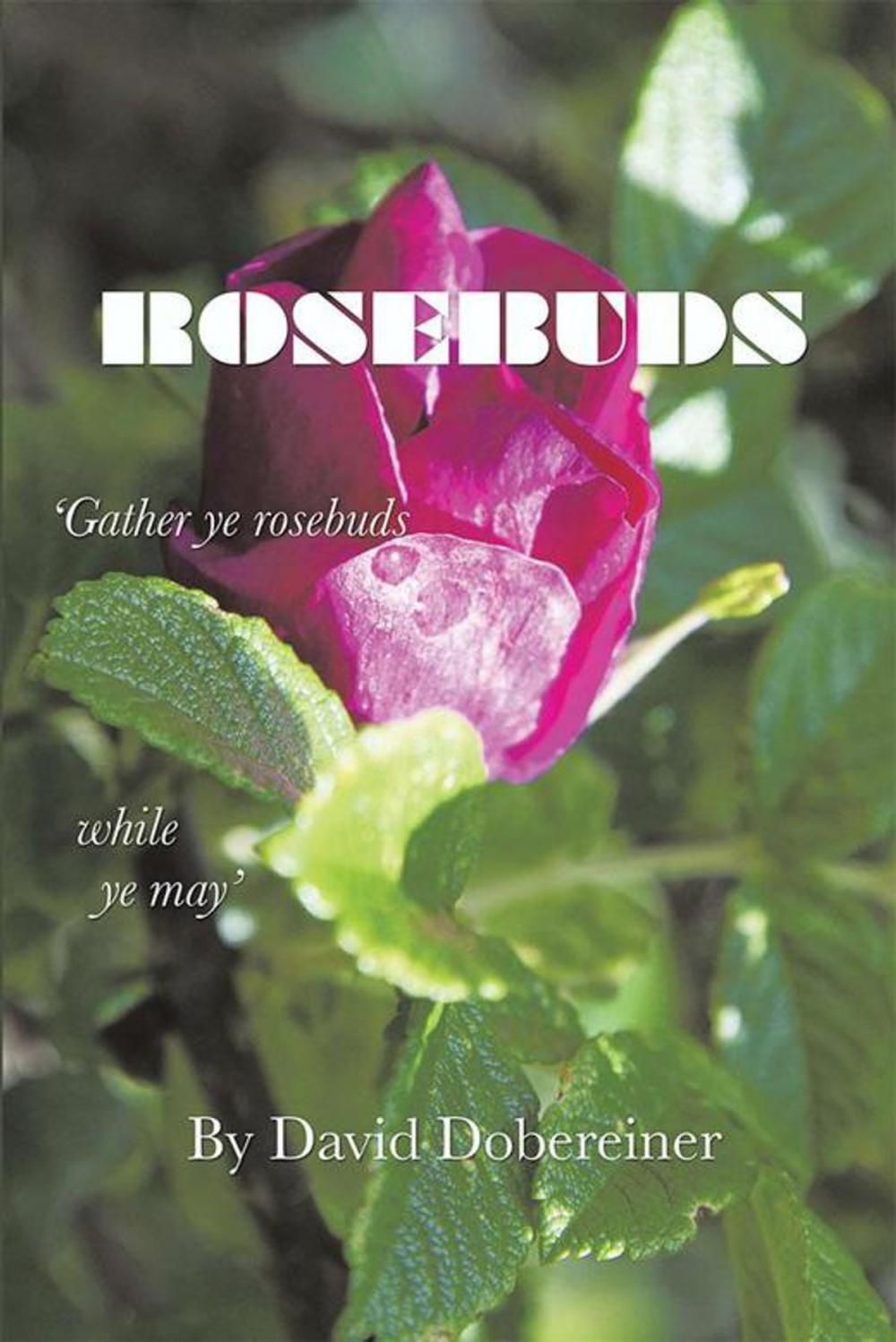 Big bigCover of Rosebuds