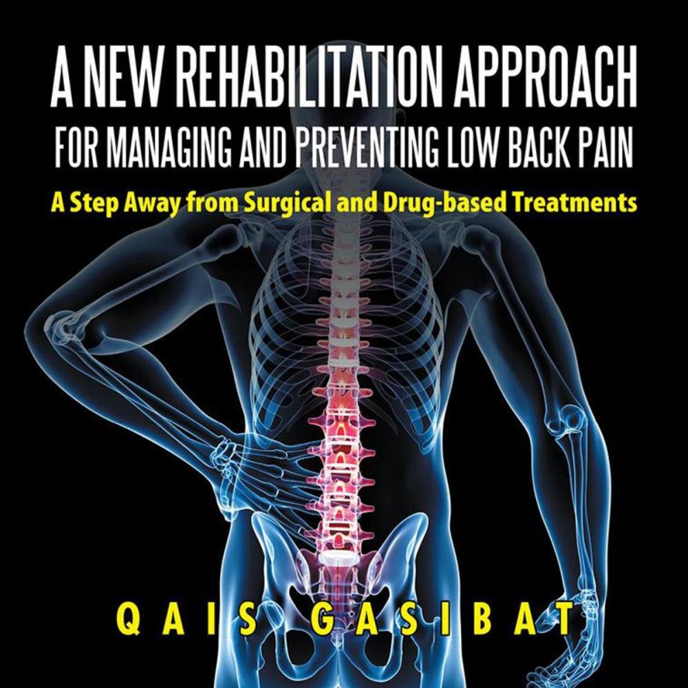 Big bigCover of A New Rehabilitation Approach for Managing and Preventing Low Back Pain