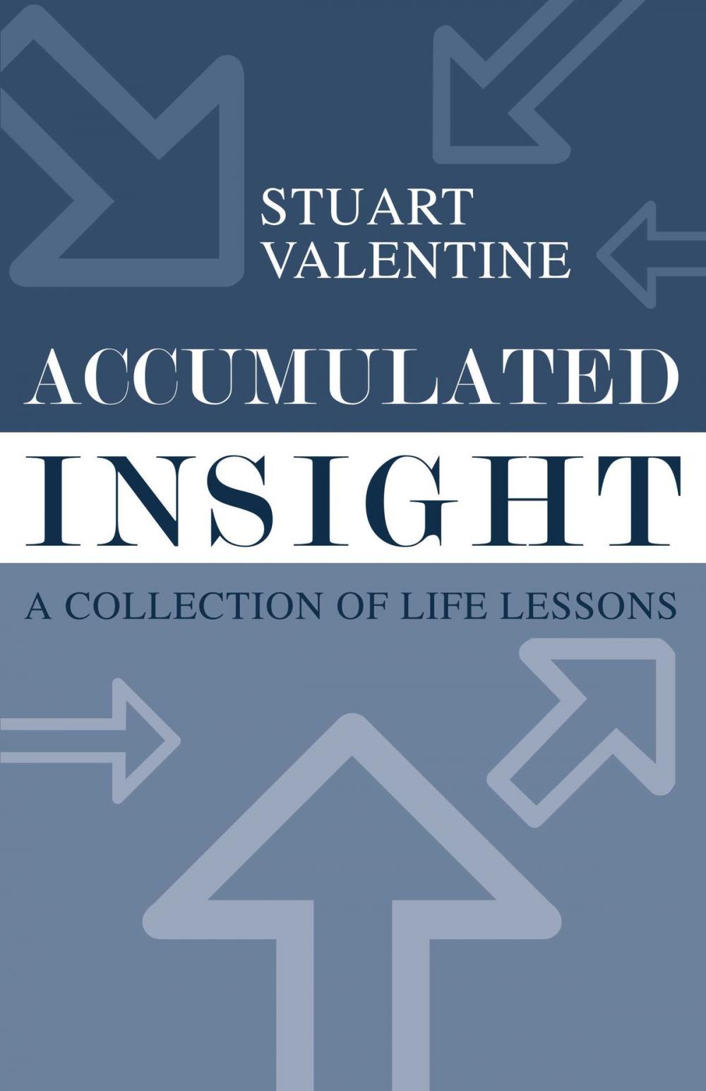 Big bigCover of Accumulated Insight