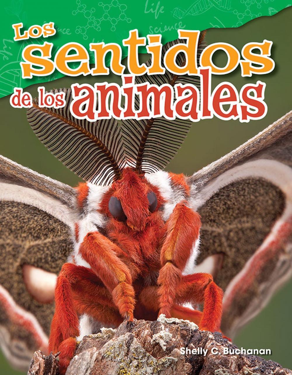 Big bigCover of Los sentidos de los animales