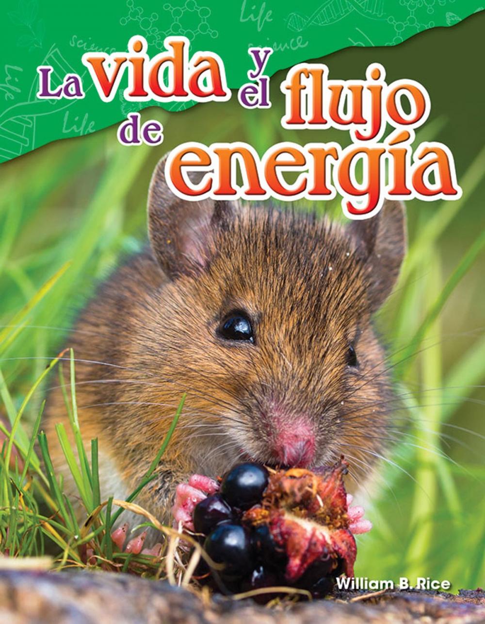 Big bigCover of La vida y el flujo de energía