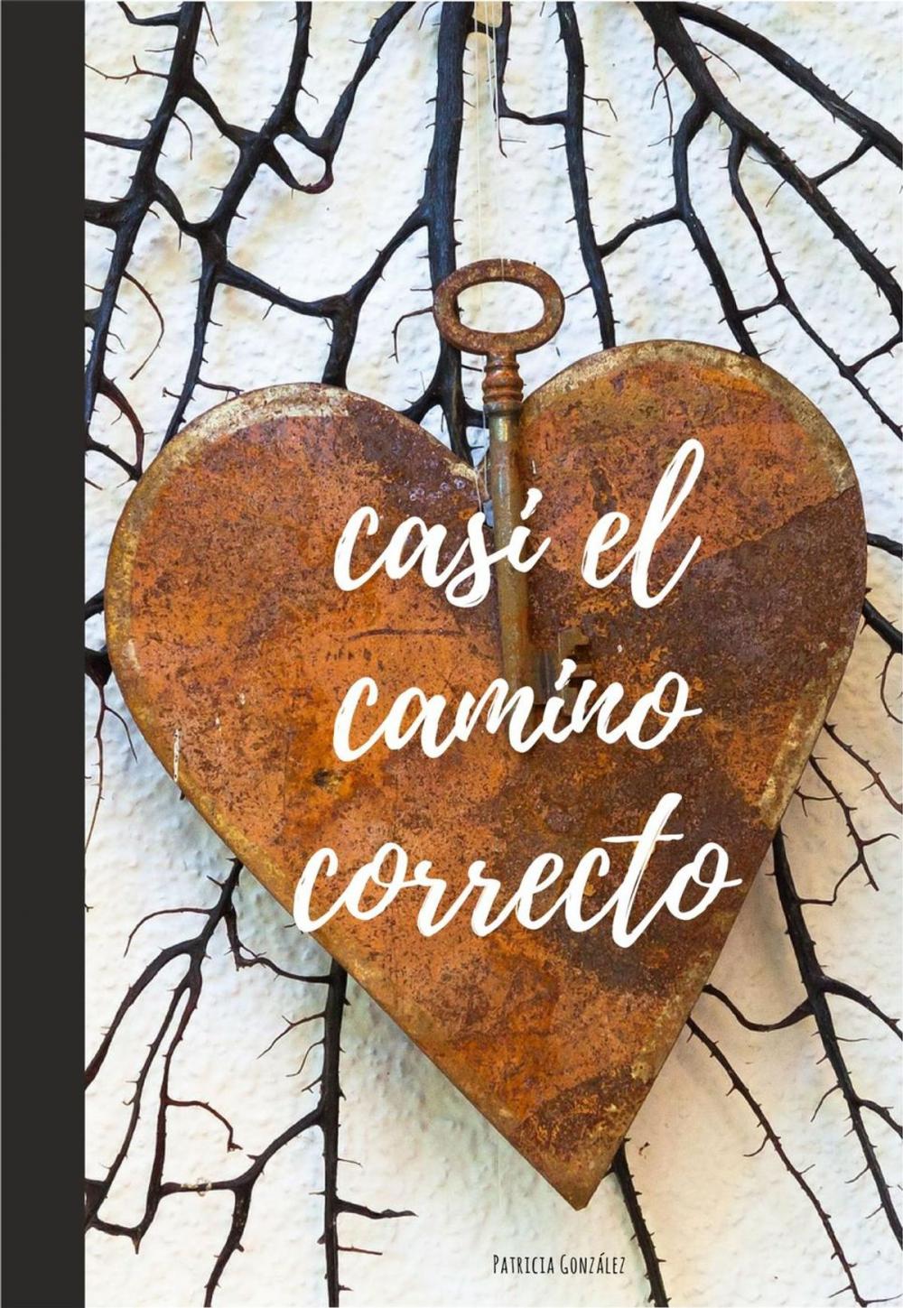 Big bigCover of Casi el camino correcto