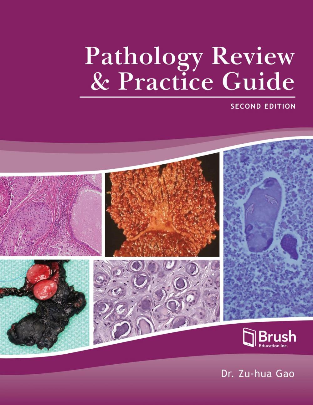 Big bigCover of Pathology Review and Practice Guide