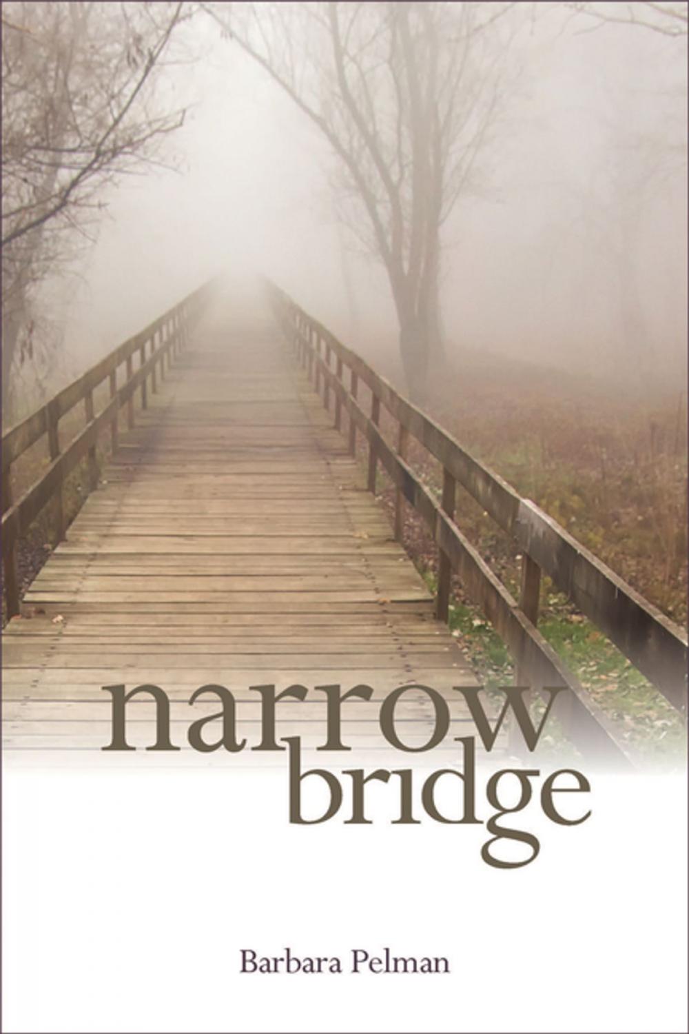 Big bigCover of Narrow Bridge