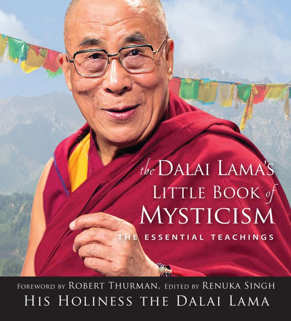 Big bigCover of Dalai Lama's Little Book of Mysticism