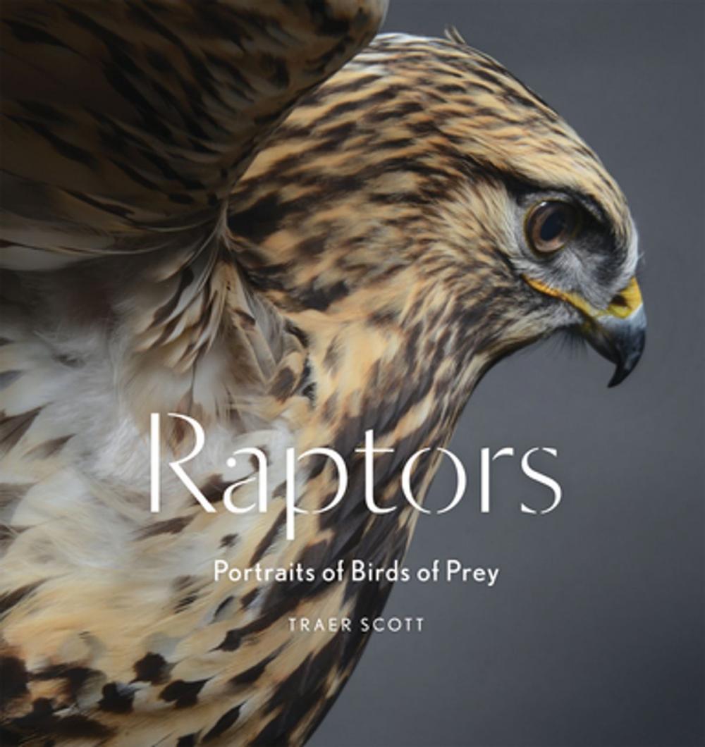 Big bigCover of Raptors