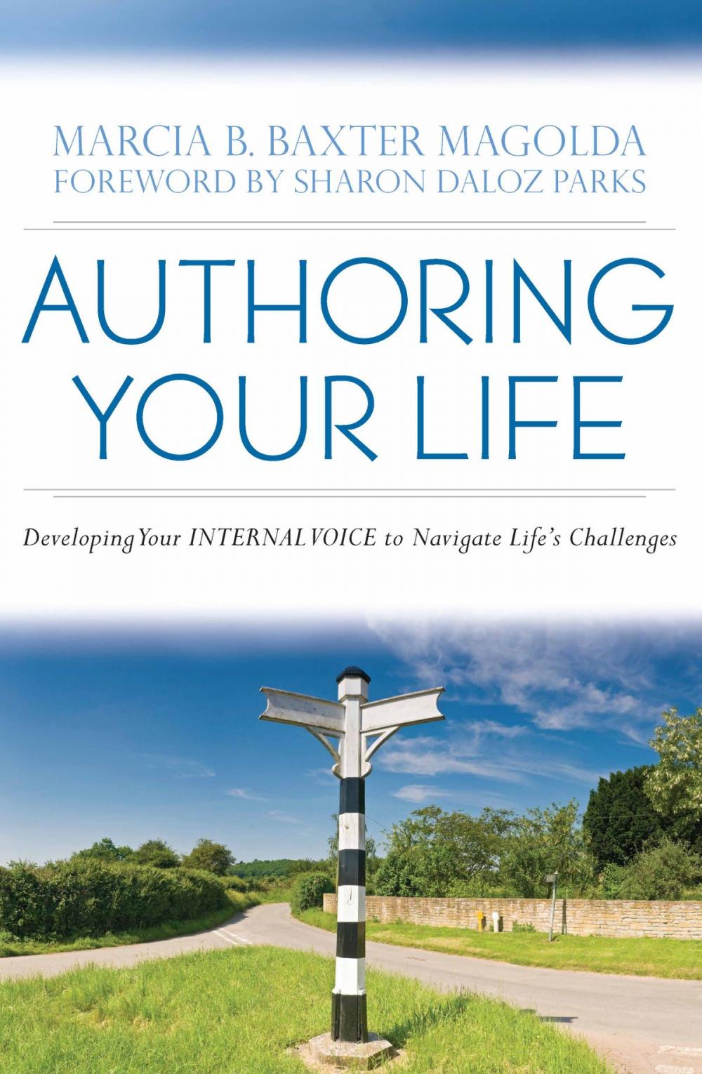 Big bigCover of Authoring Your Life