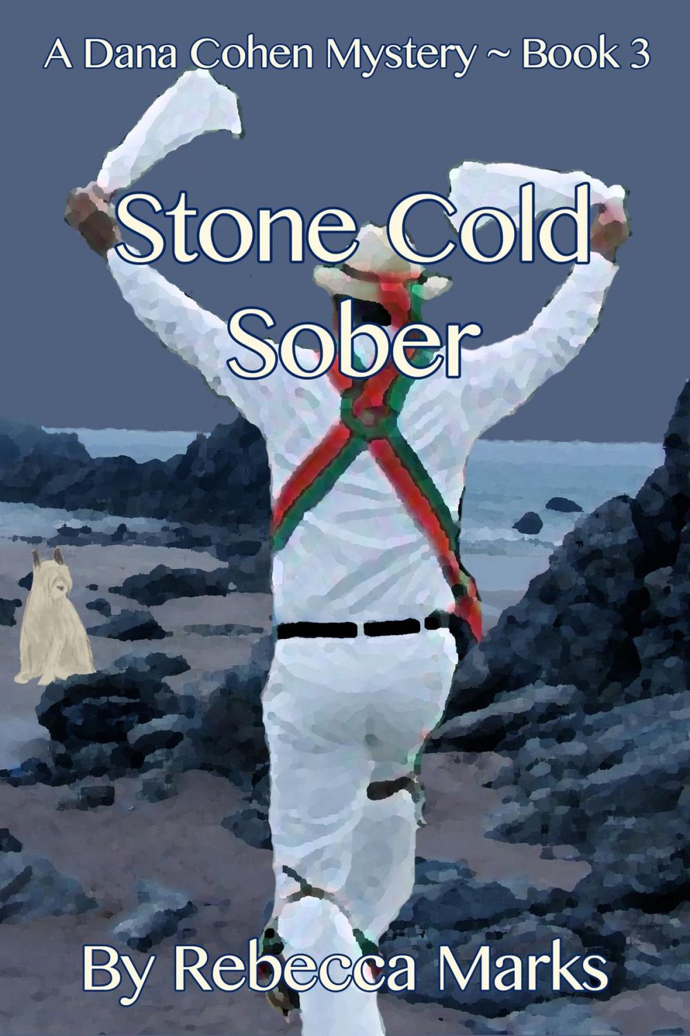 Big bigCover of Stone Cold Sober