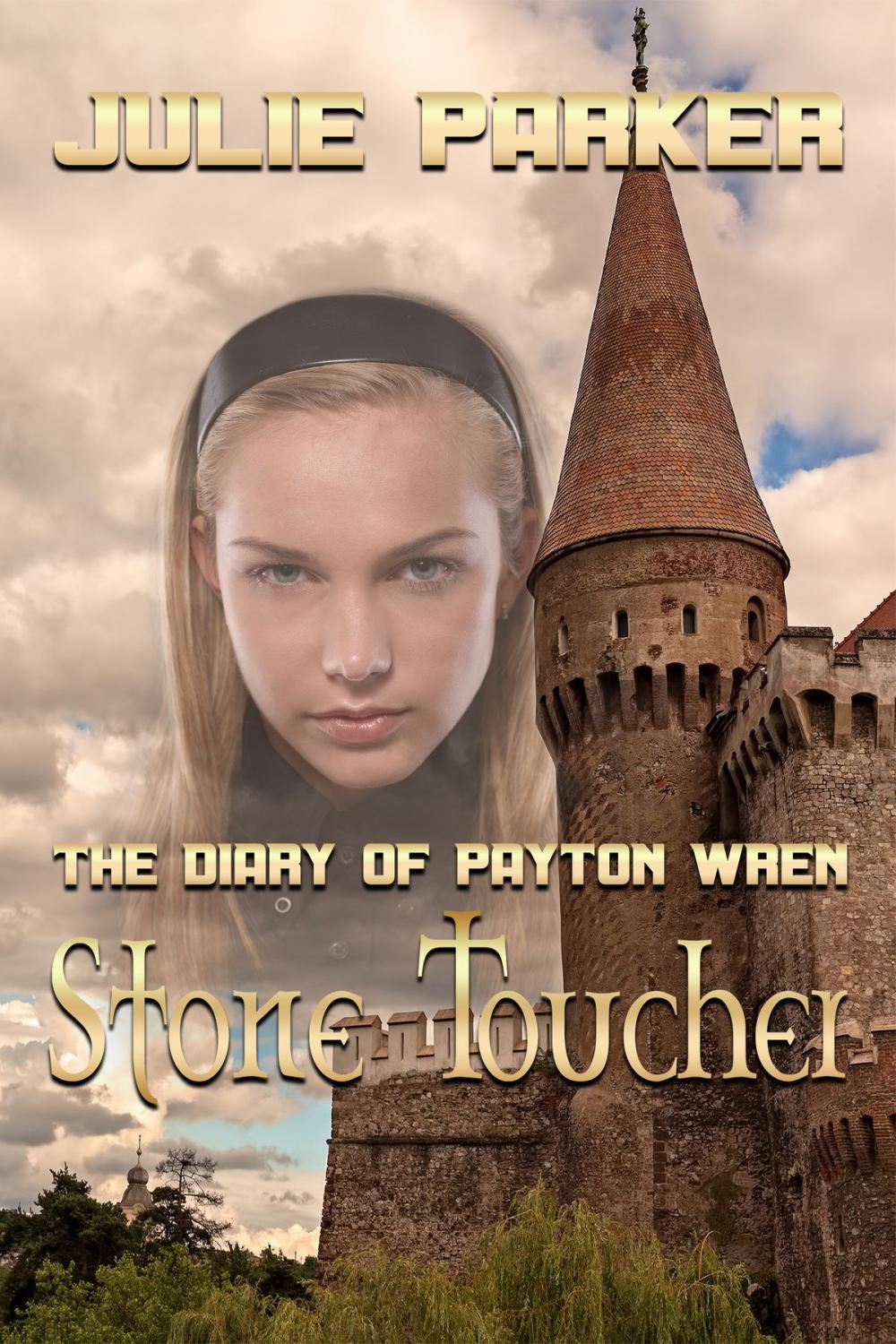 Big bigCover of The Diary of Payton Wren