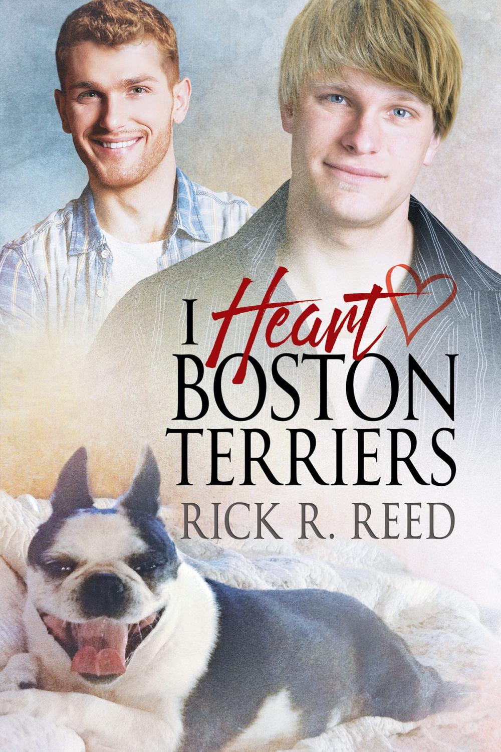 Big bigCover of I Heart Boston Terriers