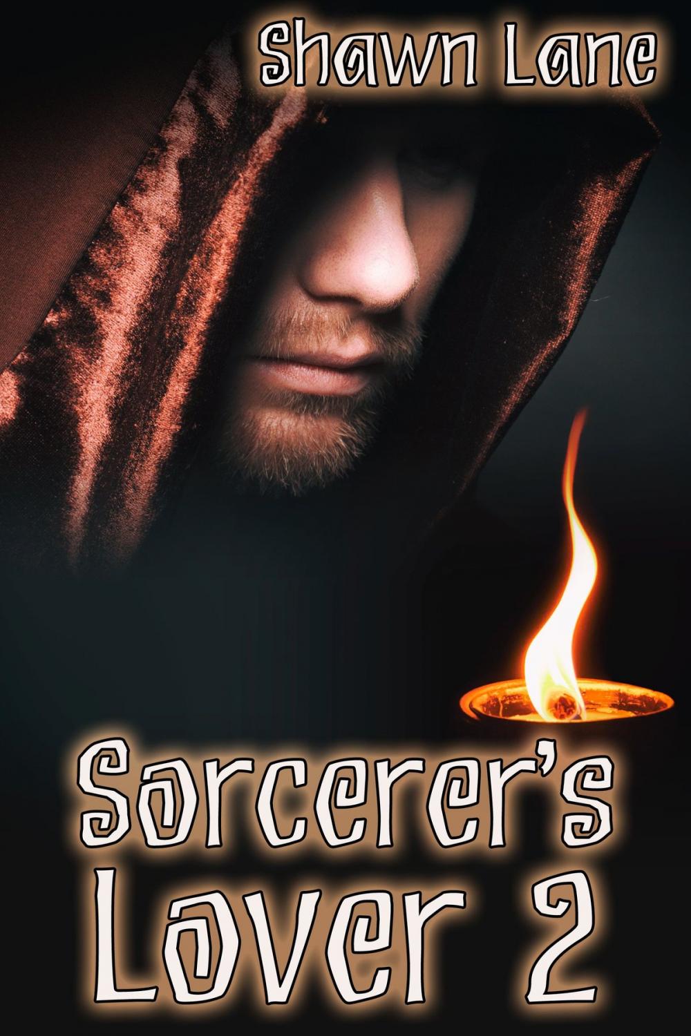 Big bigCover of Sorcerer's Lover 2