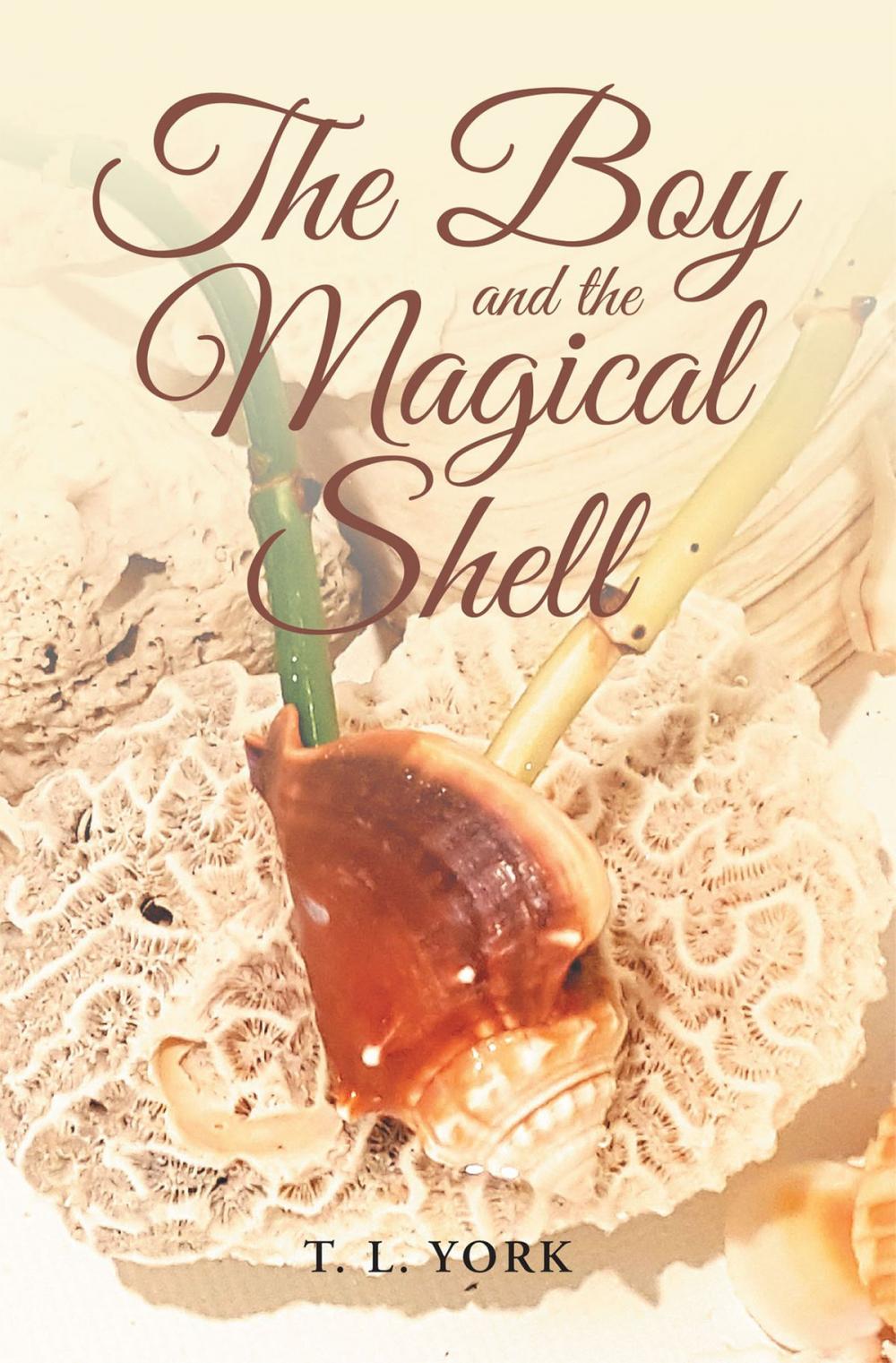 Big bigCover of The Boy and the Magical Shell