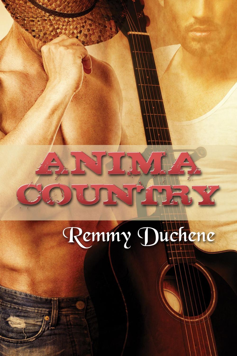 Big bigCover of Anima country