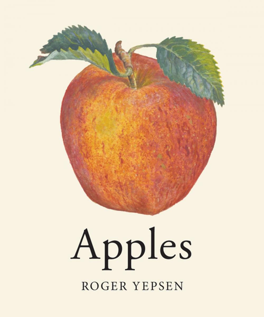 Big bigCover of Apples (Revised and Updated)