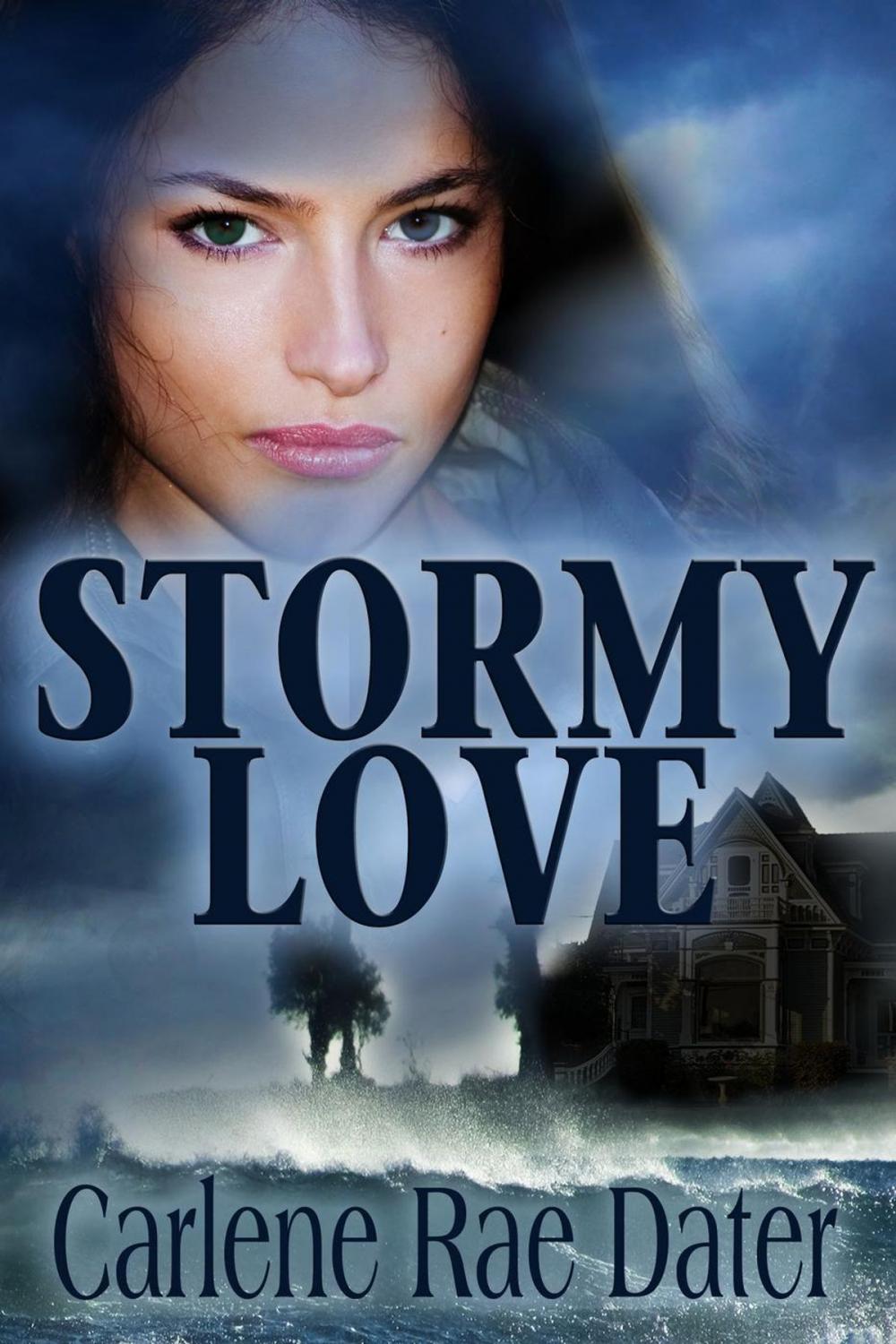 Big bigCover of Stormy Love