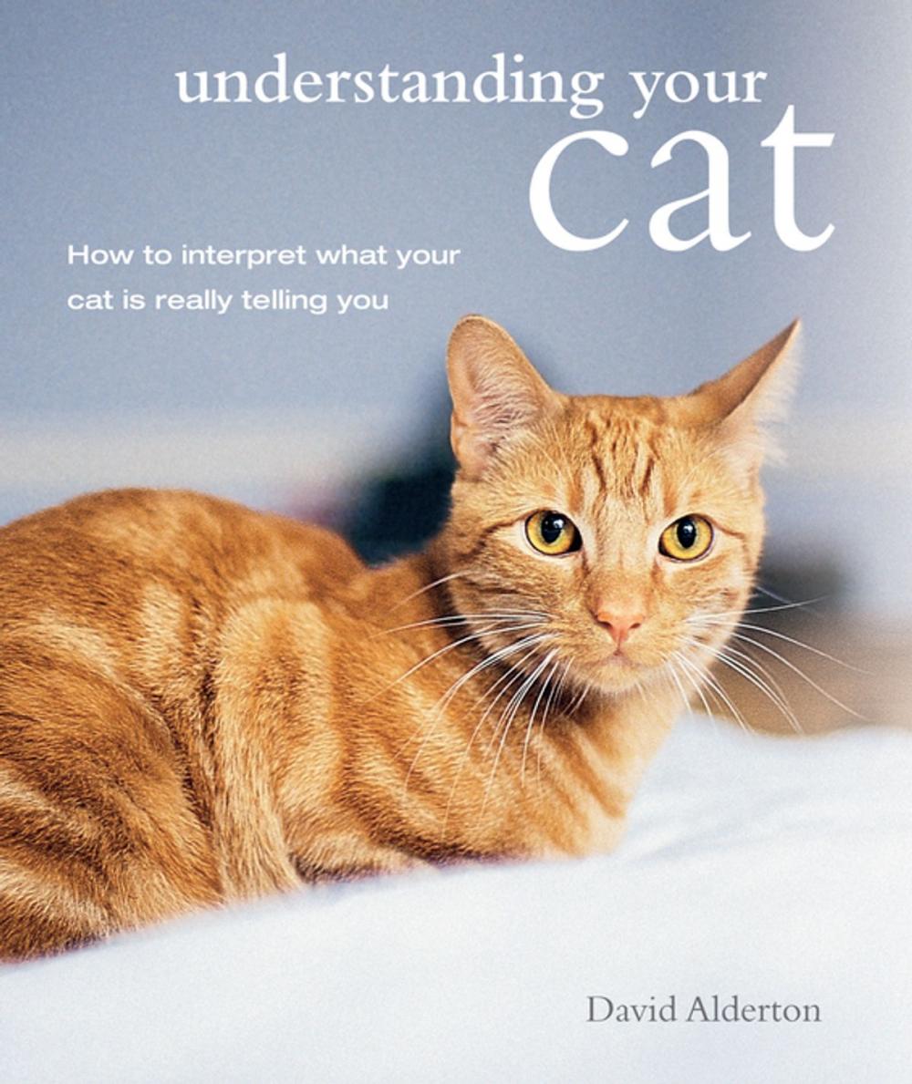 Big bigCover of Understanding Your Cat