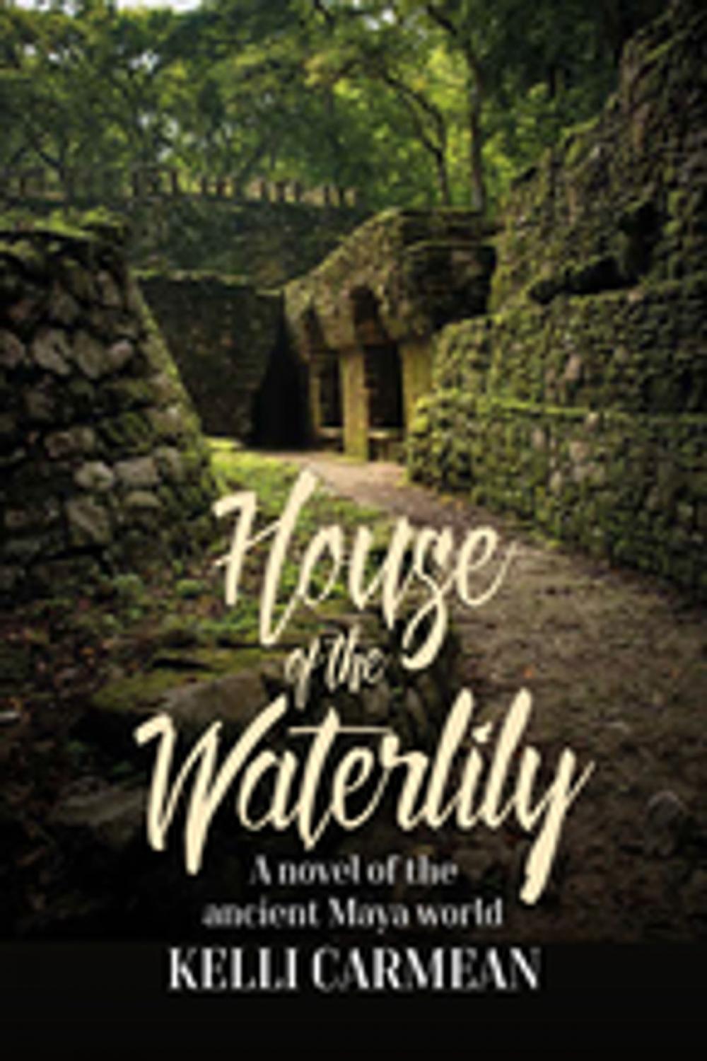 Big bigCover of House of the Waterlily