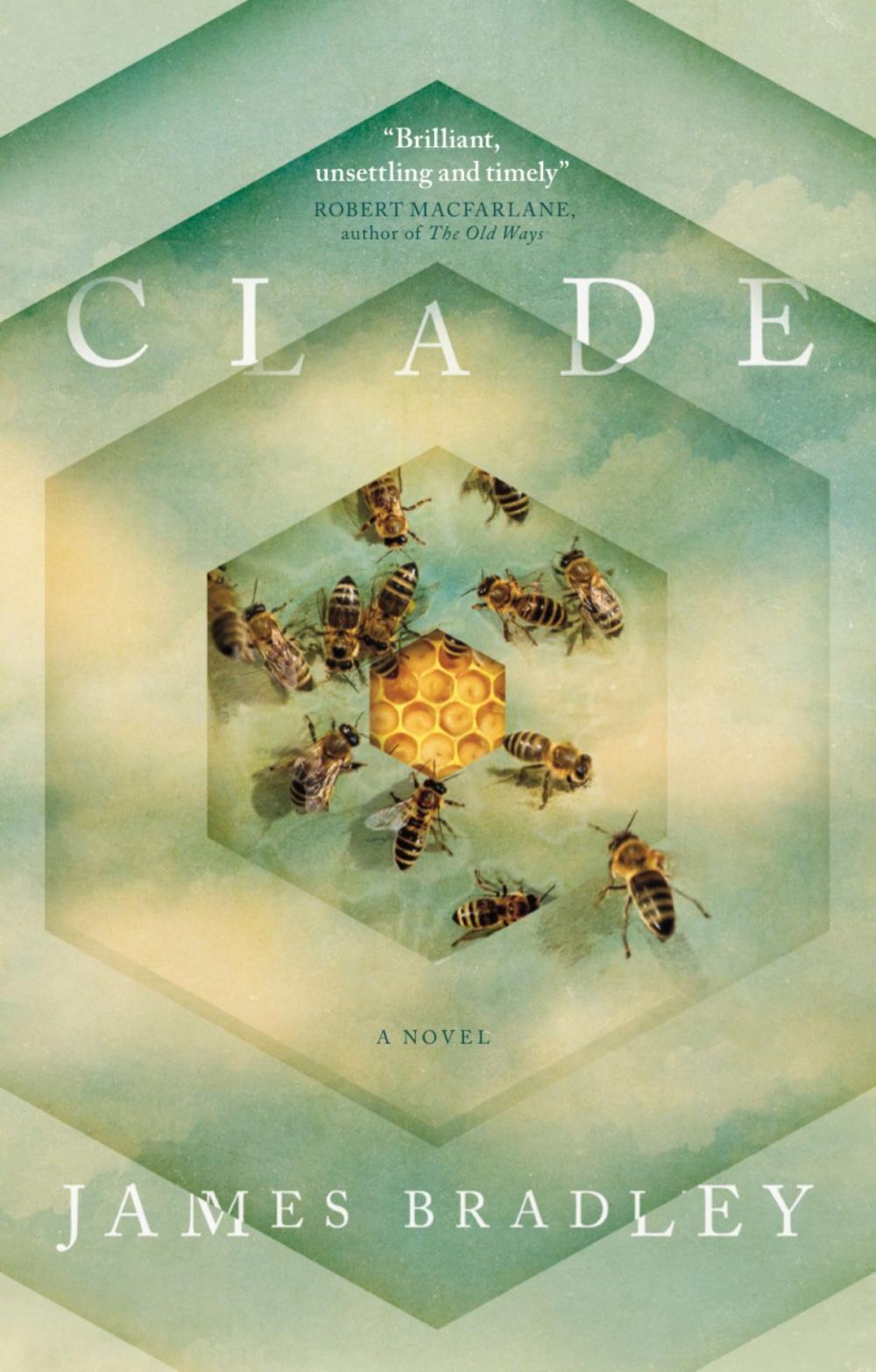 Big bigCover of Clade