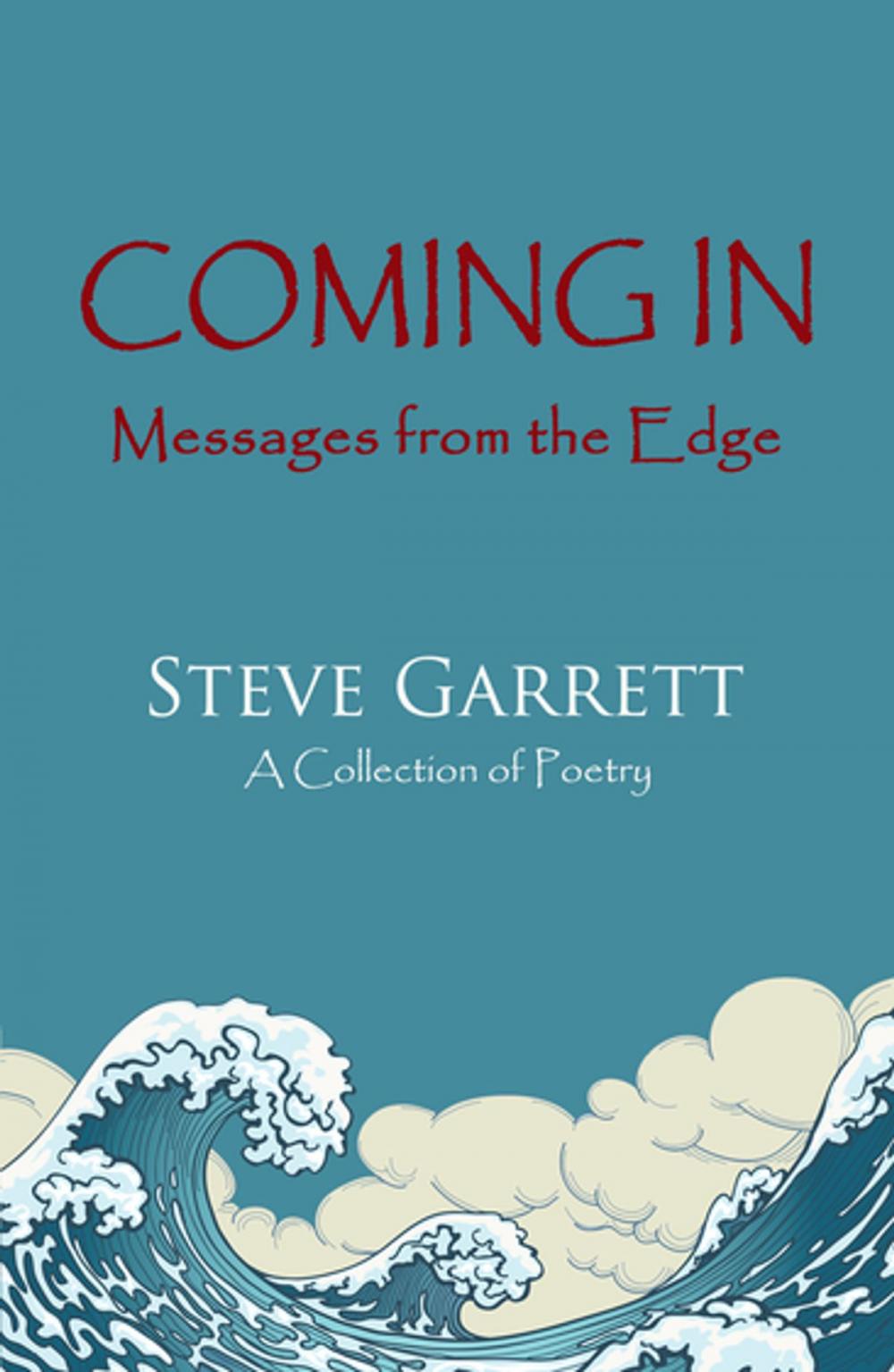 Big bigCover of Coming In: Messages from the Edge