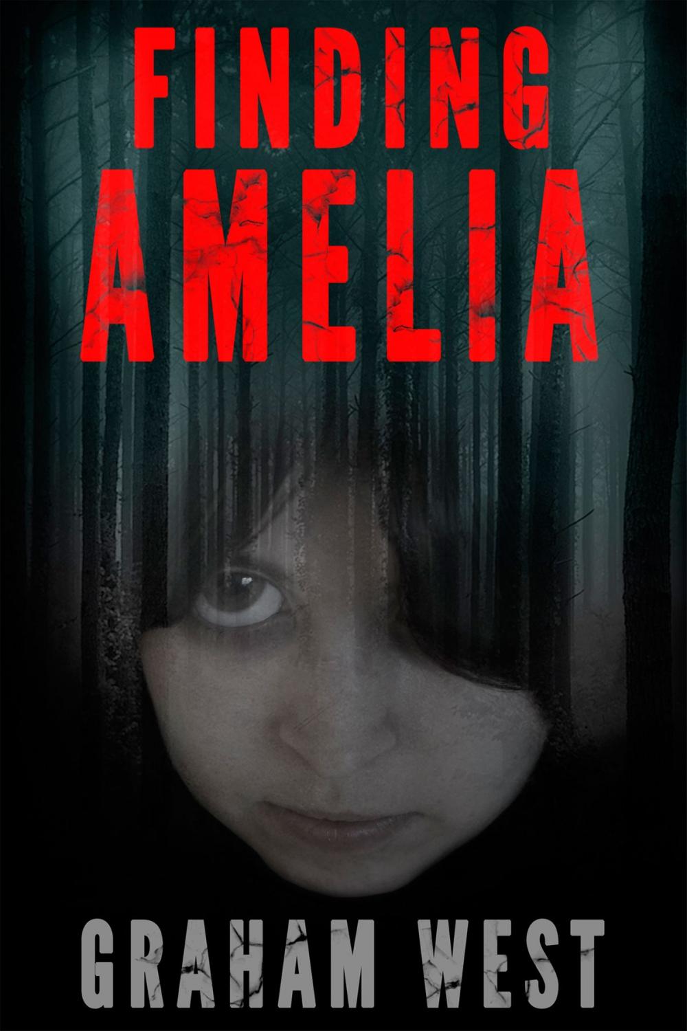 Big bigCover of Finding Amelia